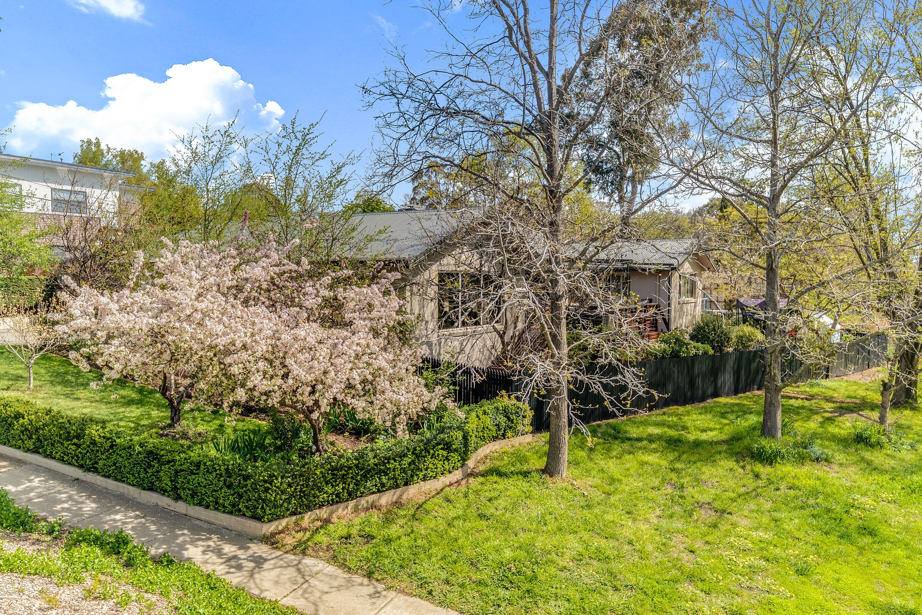 58 Birdwood Street, Hughes ACT 2605, Hughes - Thumbnail 2