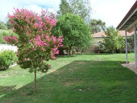 14 Lister Drive, ORANGE NSW 2800, Orange - Thumbnail 3