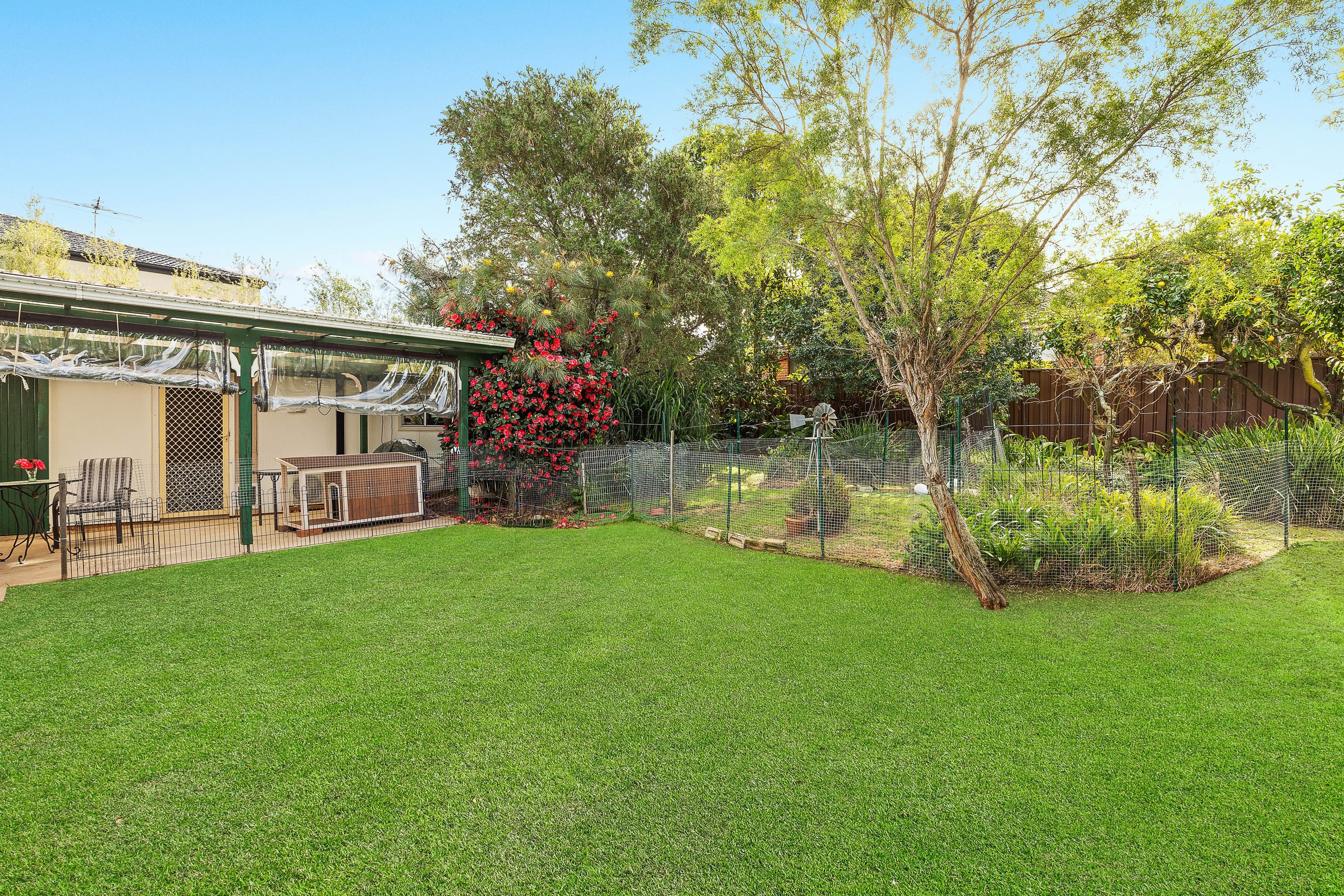 23 Stanbury Street, Gladesville - Thumbnail 2