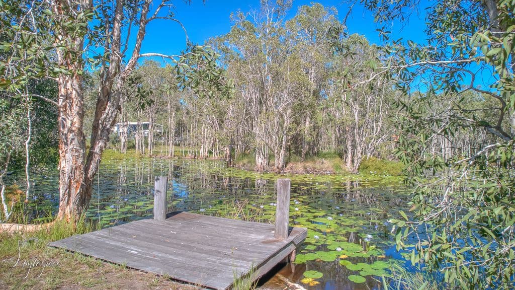 74 Allingham Way, Agnes Water QLD 4677, Agnes Water - Thumbnail 5