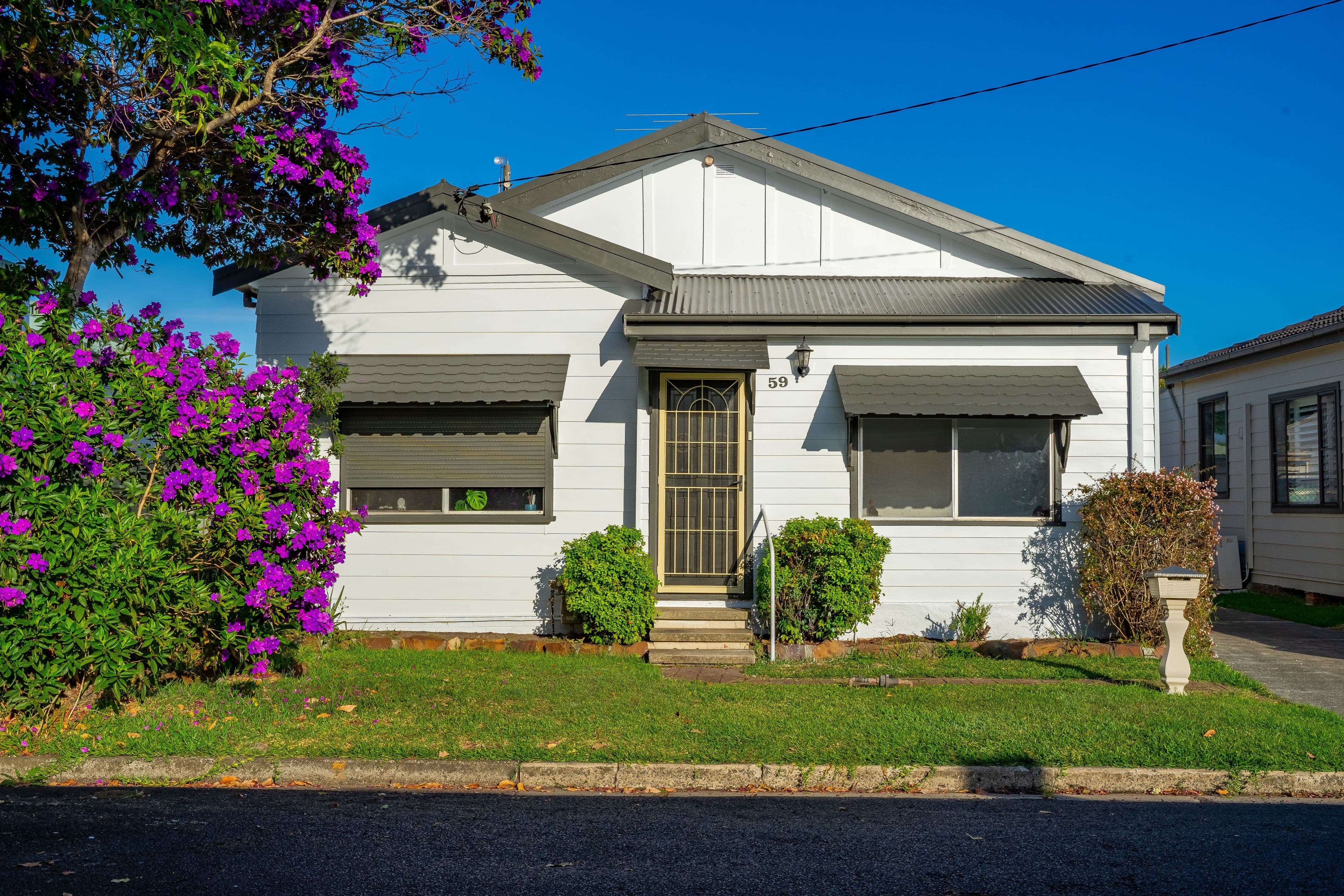 59 Asher Street, Georgetown NSW 2298, Georgetown - Image 1