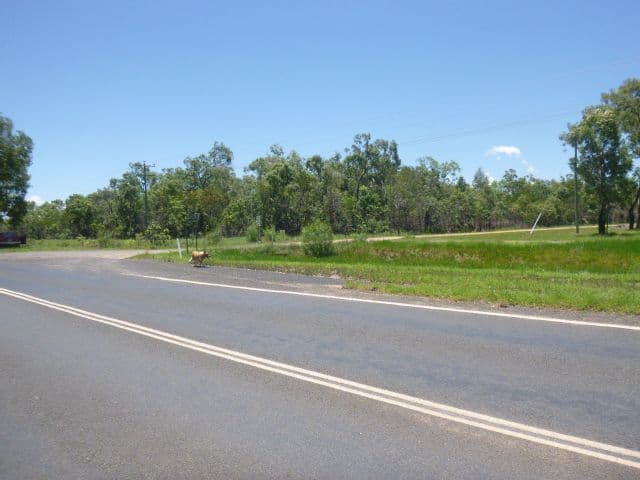 2 Unit Street, Cooktown QLD 4895, Cooktown - Thumbnail 4