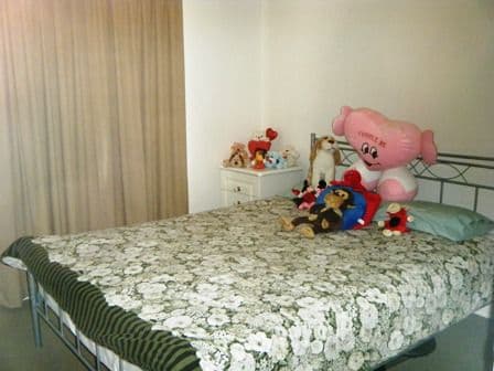 1 Conway Street, WATERFORD QLD 4133, Waterford - Thumbnail 6