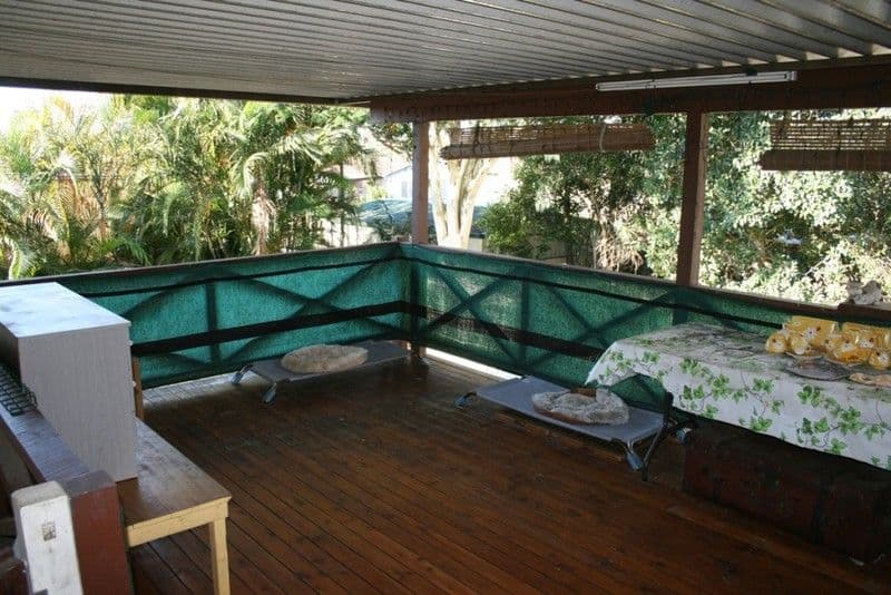 23 Treeby Street, Tingalpa QLD 4173, Tingalpa - Thumbnail 5