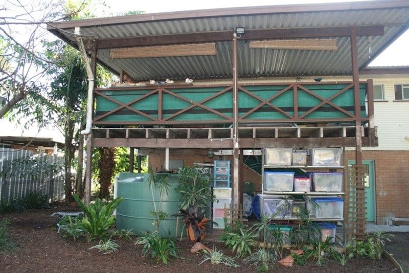 23 Treeby Street, Tingalpa QLD 4173, Tingalpa - Thumbnail 8