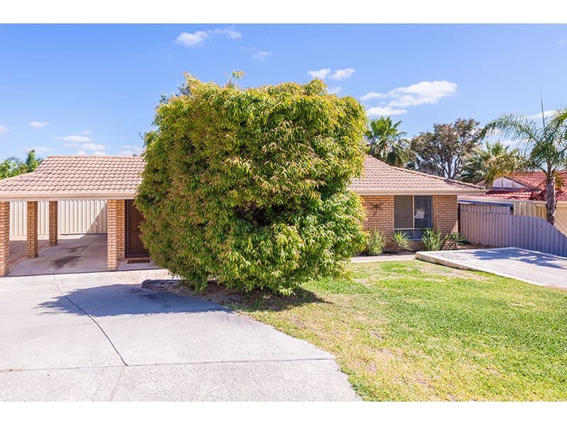 5 Woodbine Terrace, Mirrabooka WA 6061, Mirrabooka - Thumbnail 3