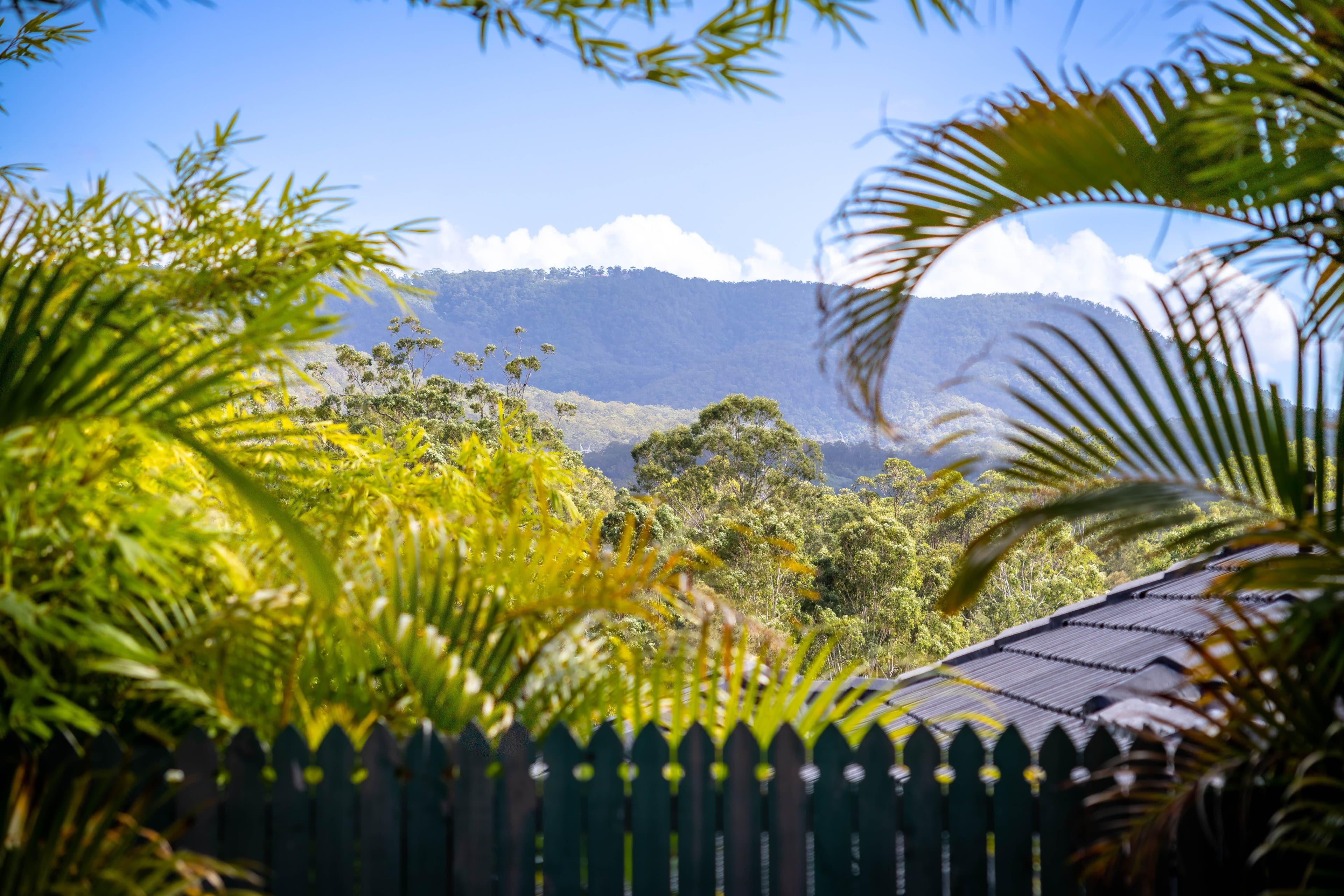 27 Honey Eater Court, Gilston QLD 4211, Gilston - Thumbnail 2