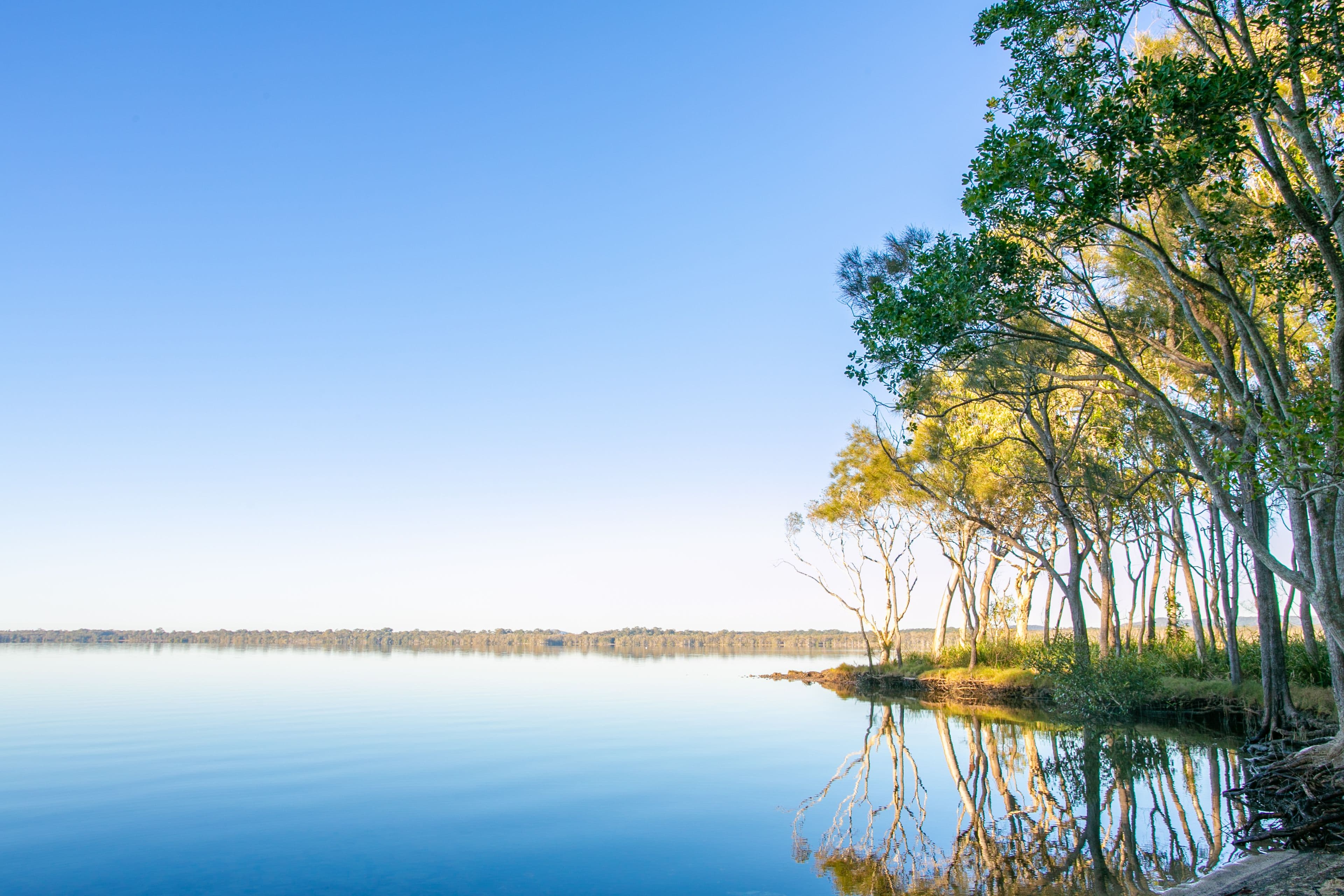 27 Paradise Drive, Weyba Downs QLD 4562, Weyba Downs - Thumbnail 2