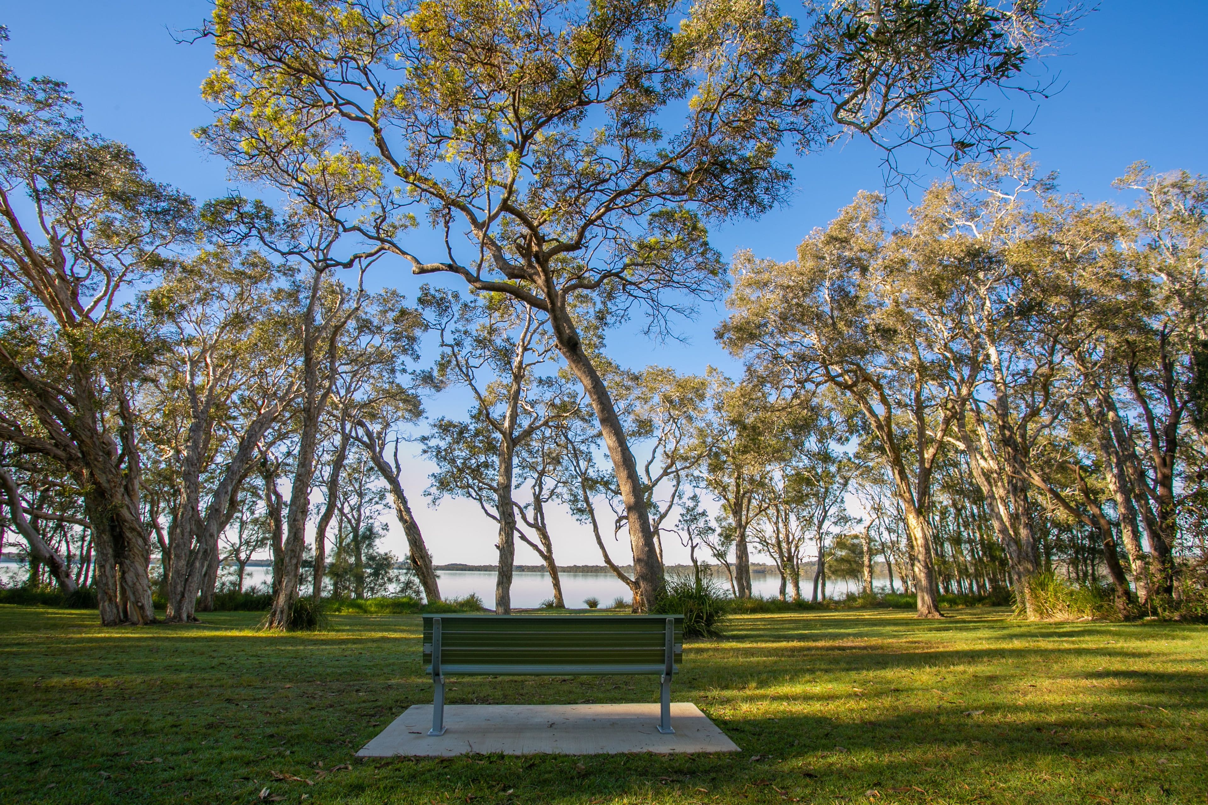 27 Paradise Drive, Weyba Downs QLD 4562, Weyba Downs - Thumbnail 4