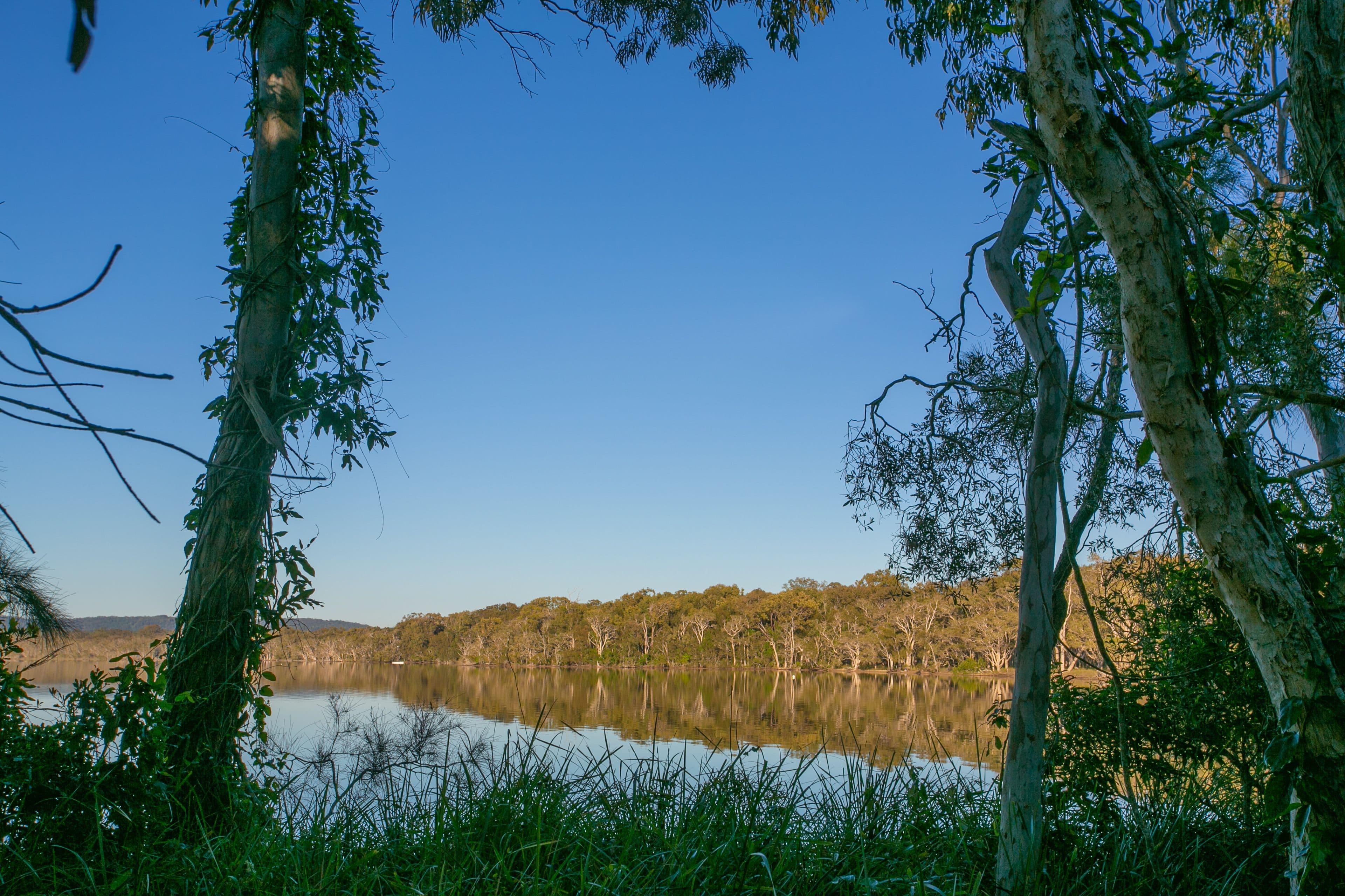 27 Paradise Drive, Weyba Downs QLD 4562, Weyba Downs - Thumbnail 6