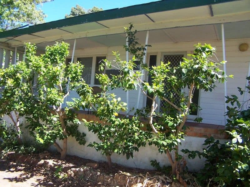 21 Elizabeth Street, KALAMUNDA WA 6076, Kalamunda - Thumbnail 2