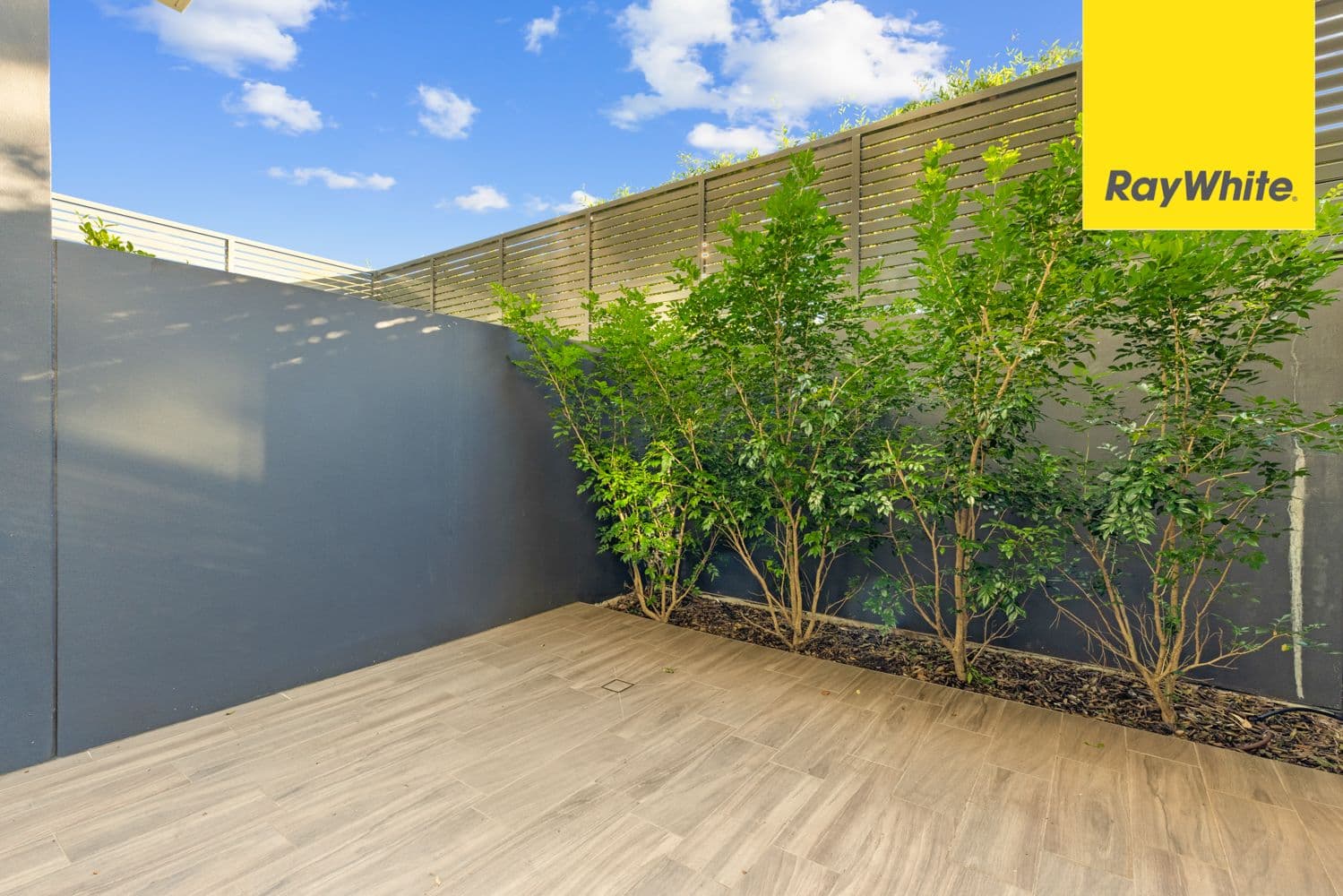 3 Forest Grove, Epping NSW 2121, Epping - Thumbnail 4
