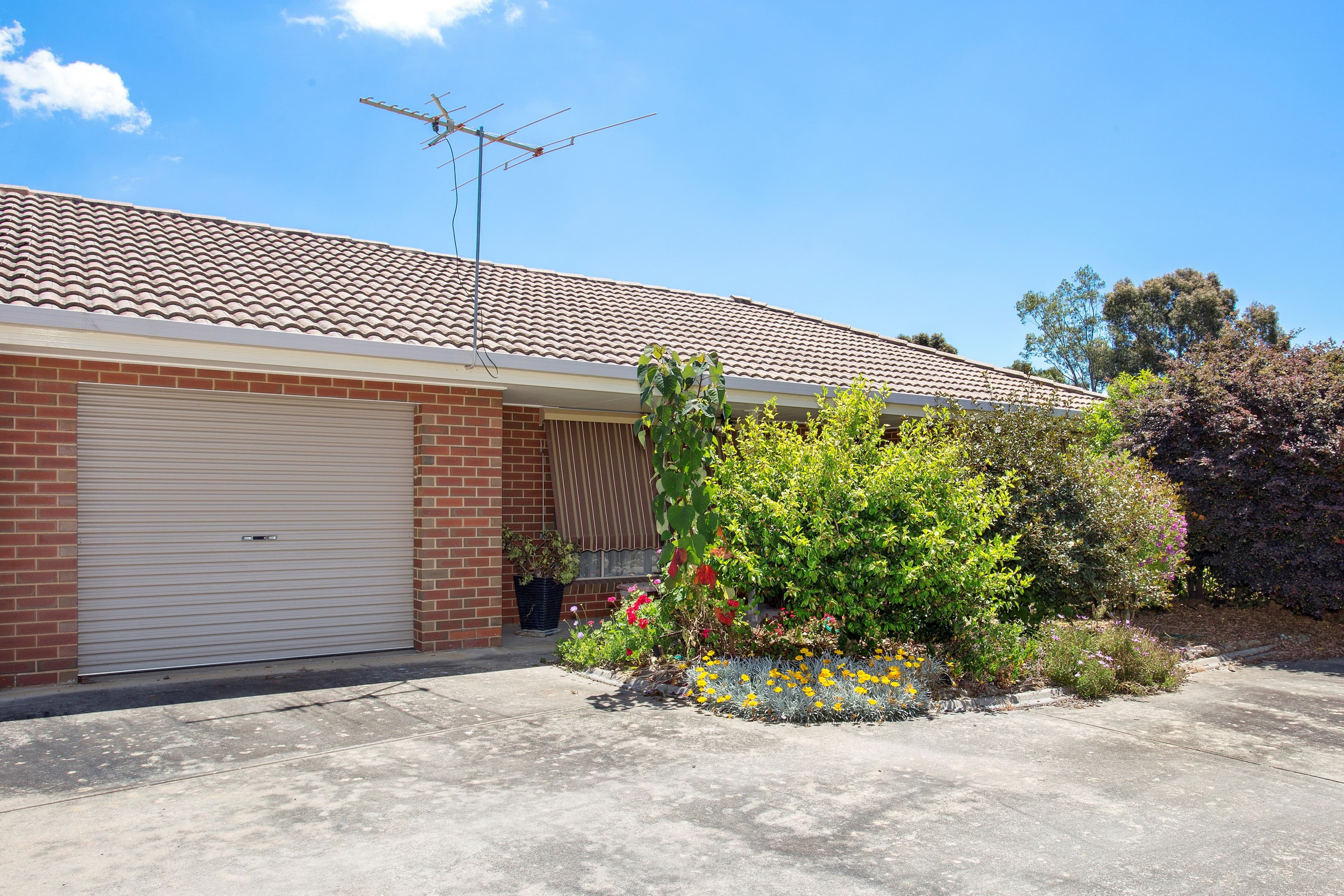 24 Park View Close, Wodonga VIC 3690, Wodonga - Image 1