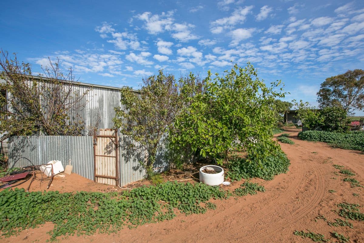 53 Port Wakefield Road, DUBLIN SA 5501, Dublin - Thumbnail 8