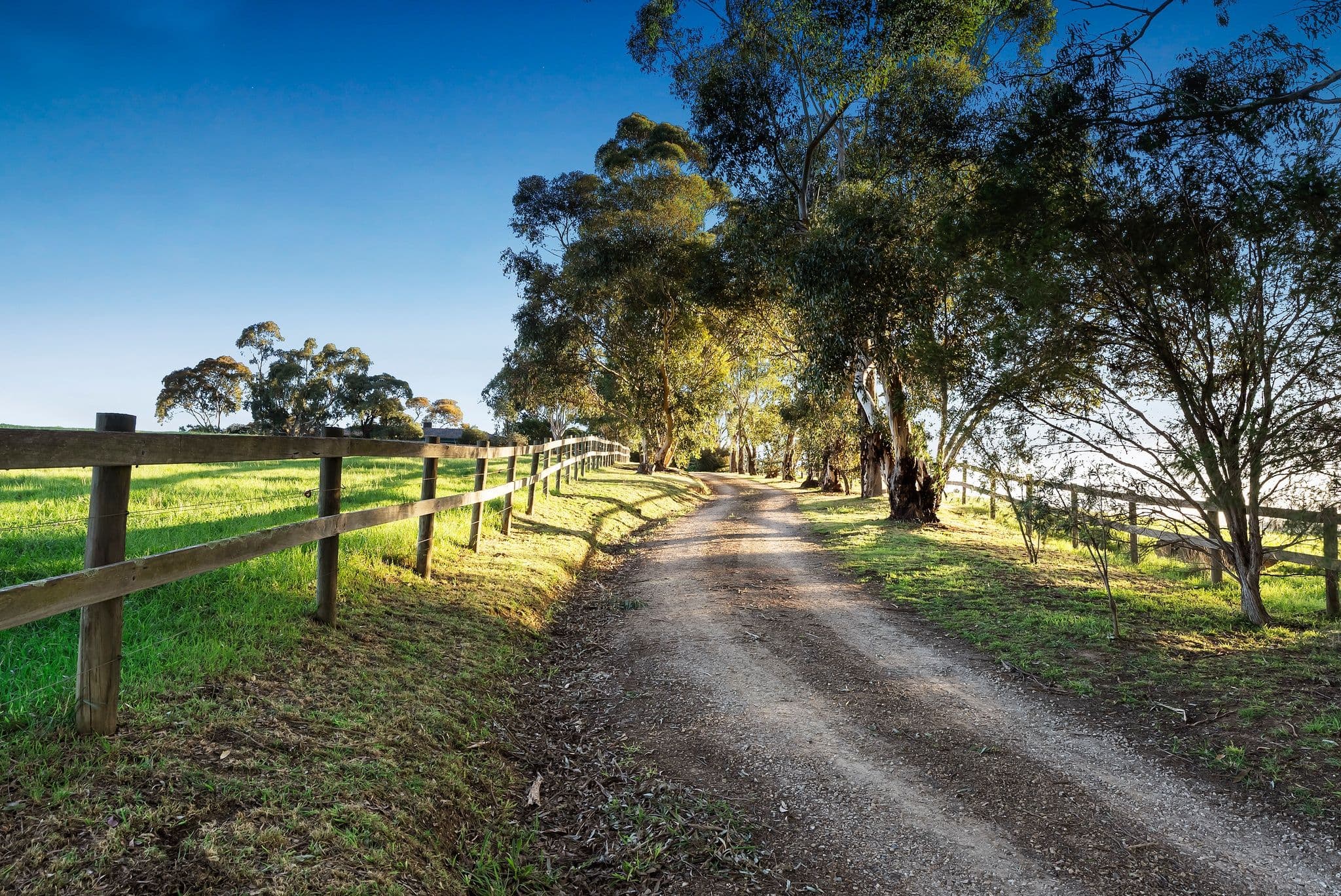 36 Nankervis Road, Arthurs Creek VIC 3099, Arthurs Creek - Thumbnail 4