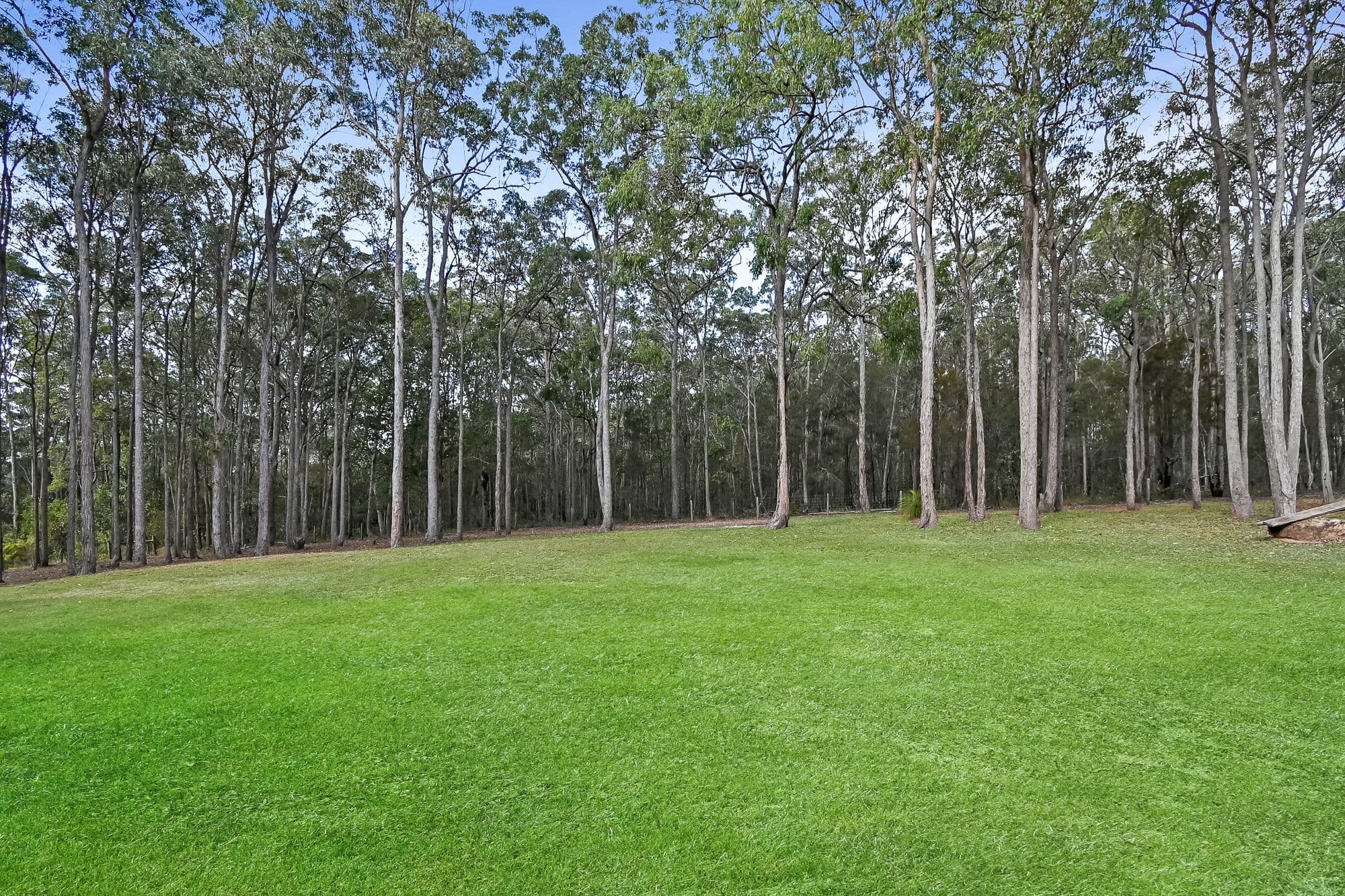26 Parakeet Court, Warner QLD 4500, Warner - Thumbnail 2