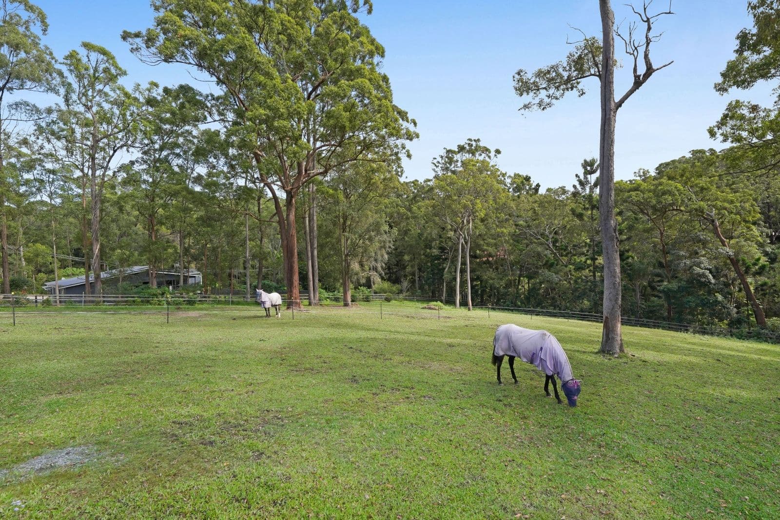 264 Trees Road, Tallebudgera QLD 4228, Tallebudgera - Thumbnail 3