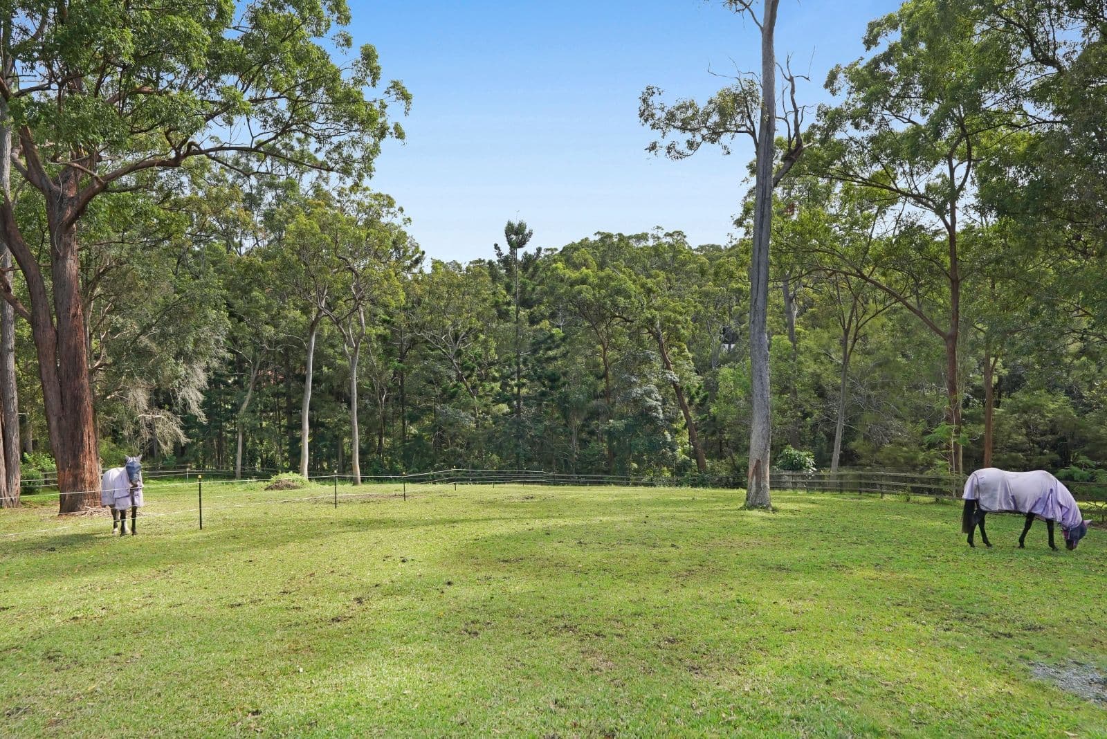 264 Trees Road, Tallebudgera QLD 4228, Tallebudgera - Thumbnail 8