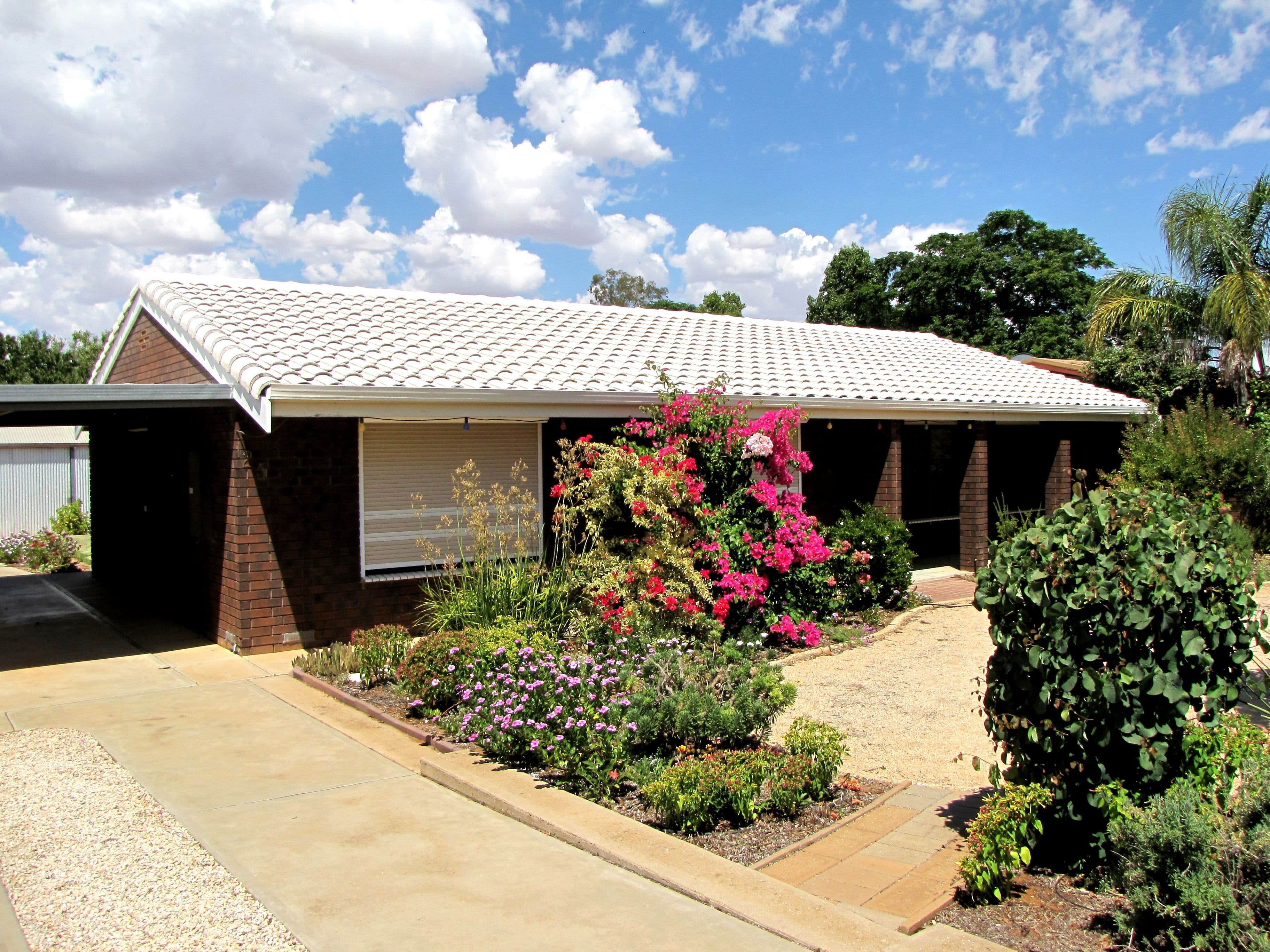 125 Bookpurnong Terrace, Loxton SA 5333, Loxton - Image 1