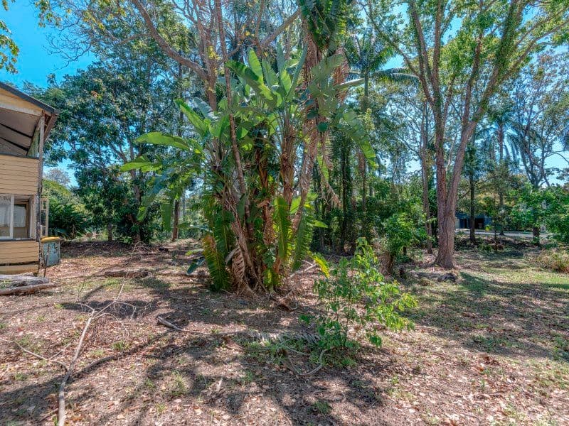 38 Baileys Road, Ashgrove QLD 4060, Ashgrove - Thumbnail 4