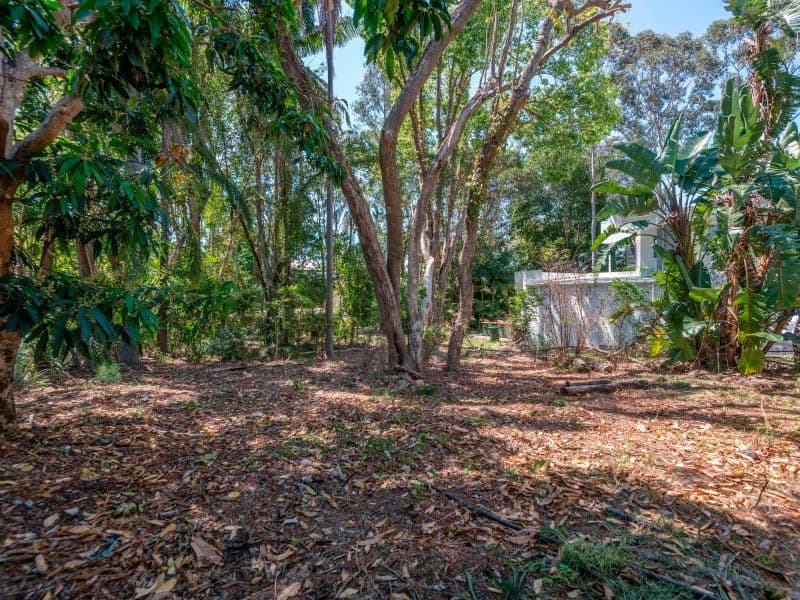 38 Baileys Road, Ashgrove QLD 4060, Ashgrove - Thumbnail 6