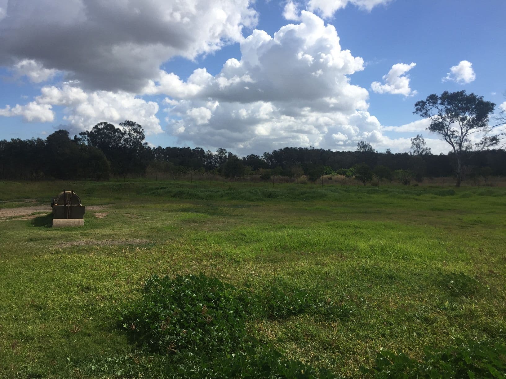 98 Mcbride Road, Pinkenba QLD 4008, Pinkenba - Image 1