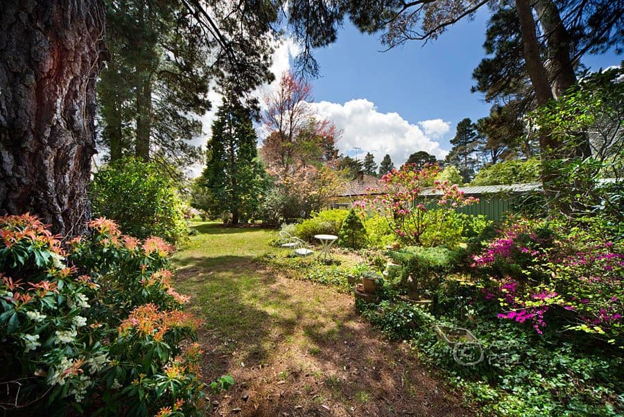 117 Govetts Leap Road, BLACKHEATH NSW 2785, Blackheath - Thumbnail 7