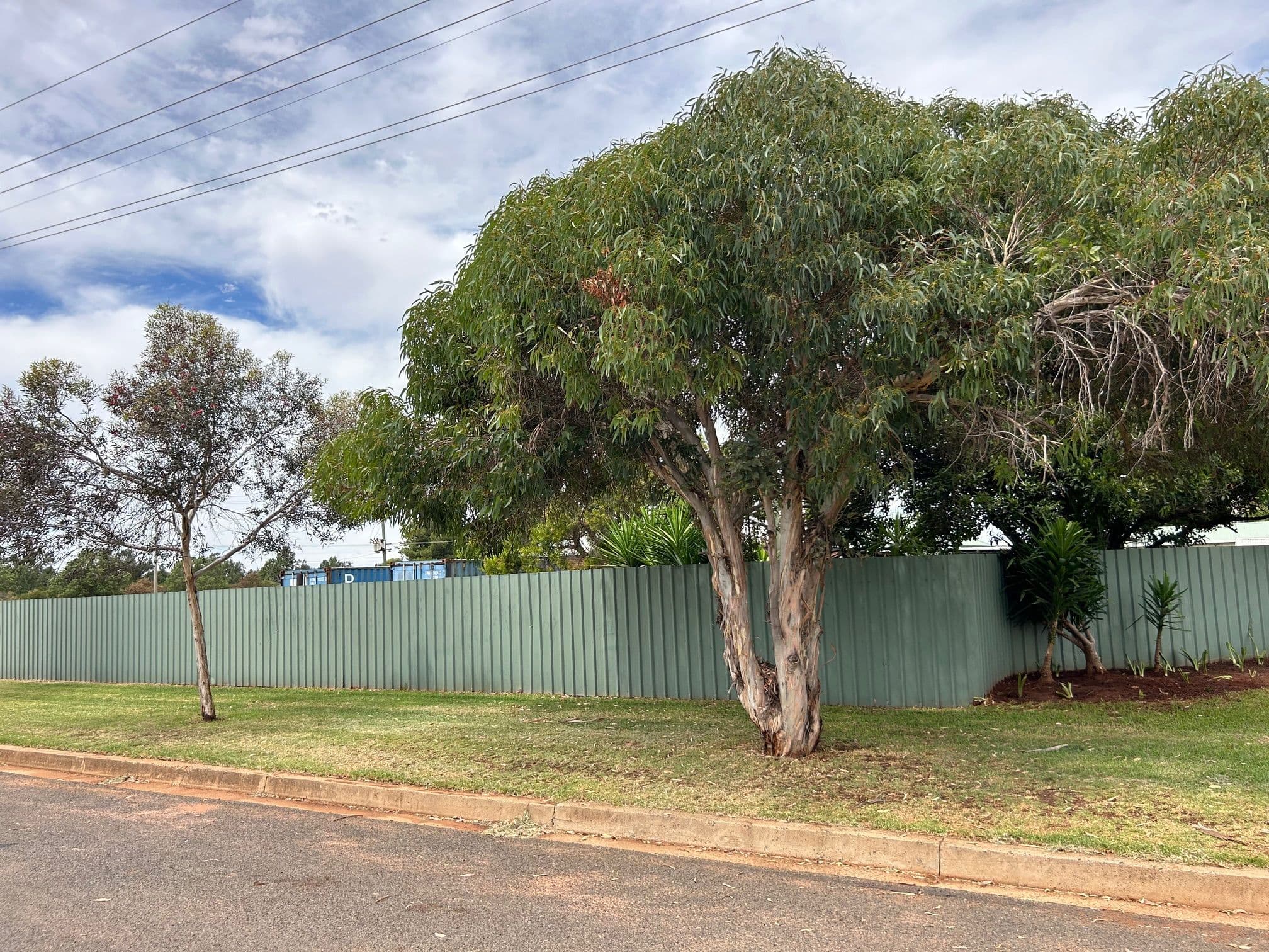 12 Zara Street, Goolgowi NSW 2652, Goolgowi - Thumbnail 6