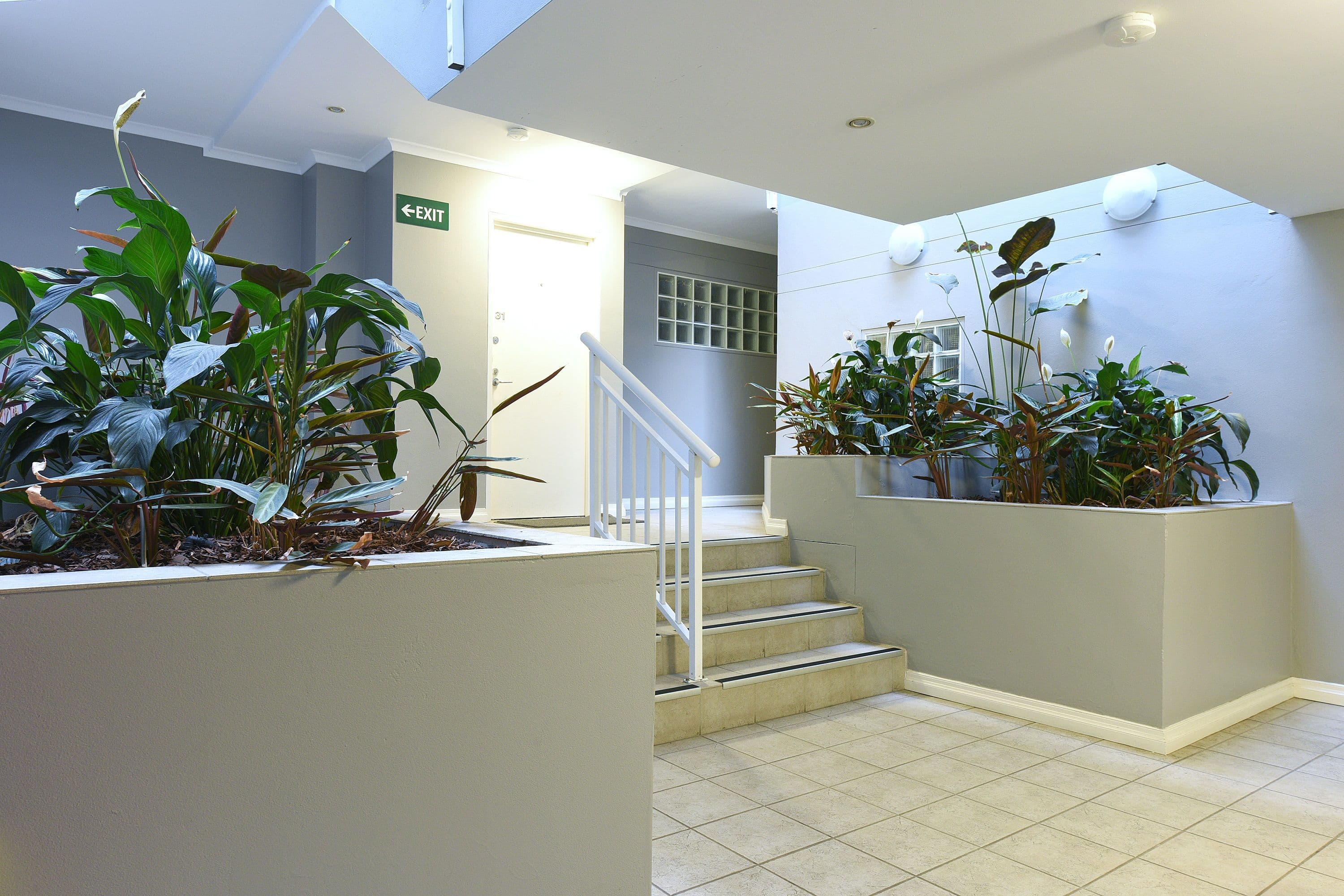21 Water Street, Hornsby NSW 2077, Hornsby - Thumbnail 3