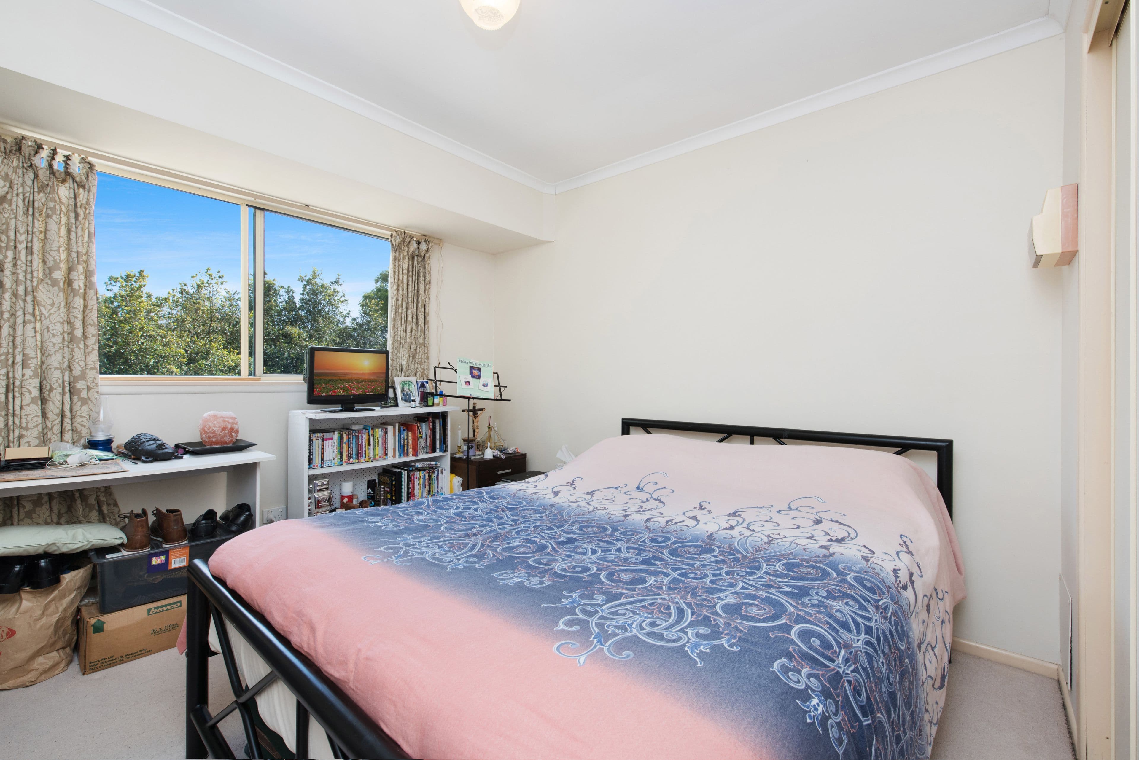 17 King Street, Buderim QLD 4556, Buderim - Thumbnail 5