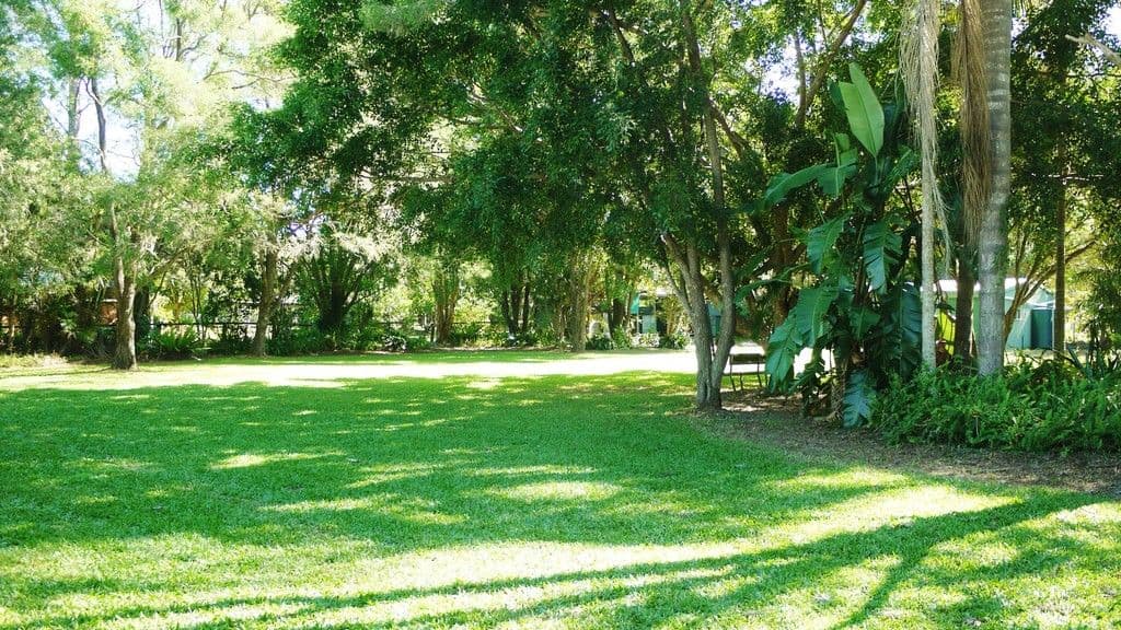 2 Gwen Court, Landsborough QLD 4550, Landsborough - Thumbnail 6