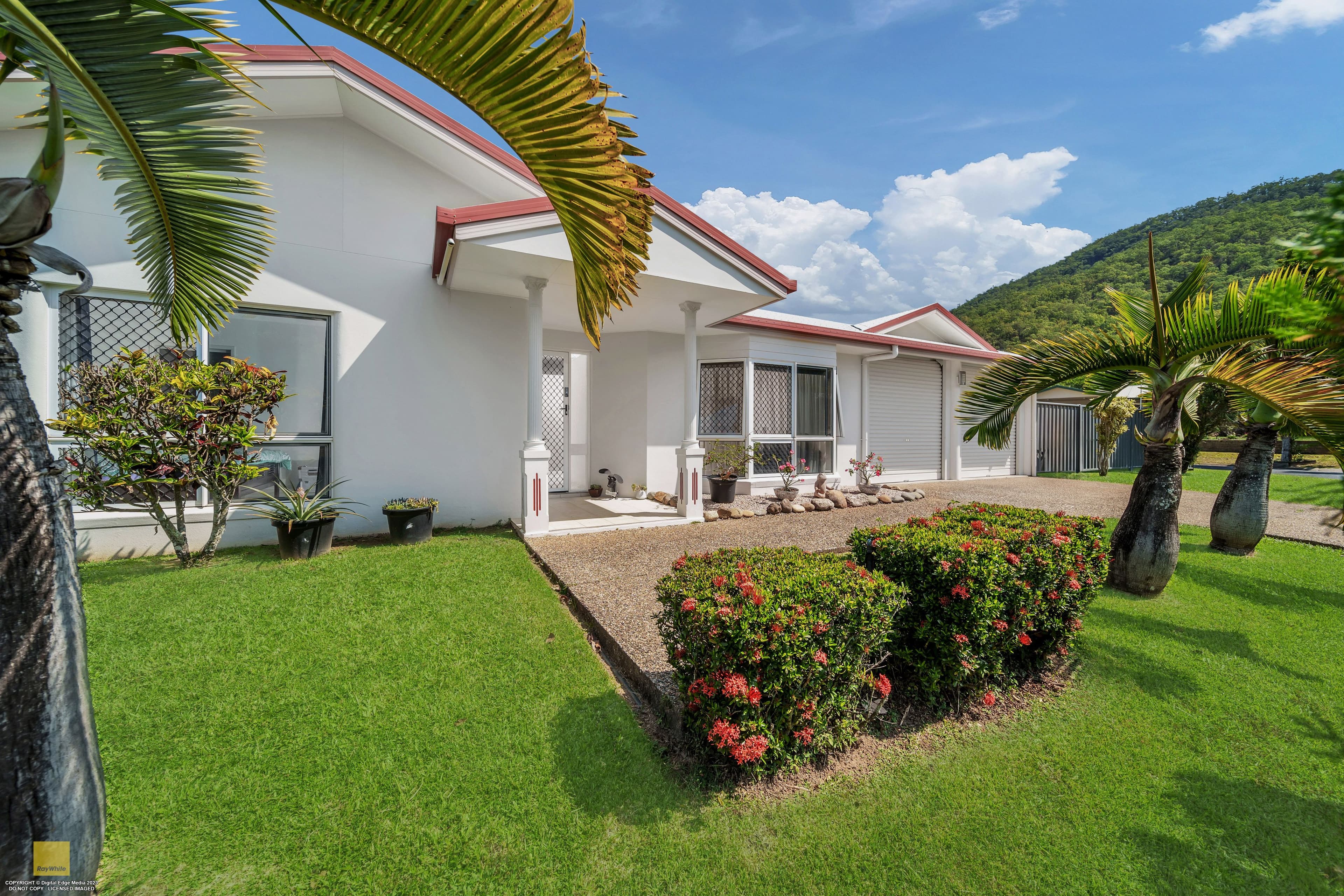 16 Palmer Close, Gordonvale QLD 4865, Gordonvale - Thumbnail 4