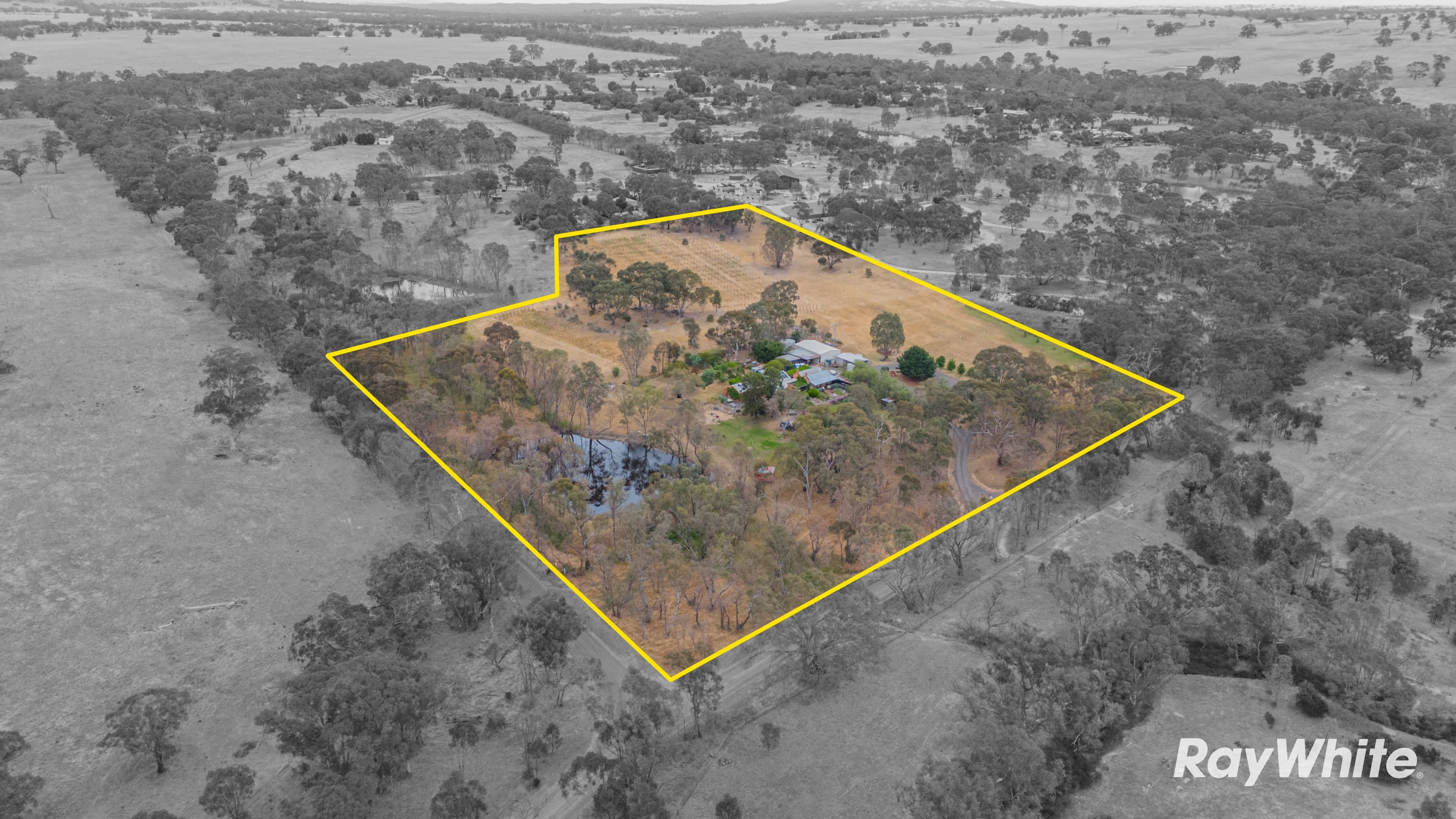 103 Soldier Road, Ravenswood VIC 3453, Ravenswood - Thumbnail 2