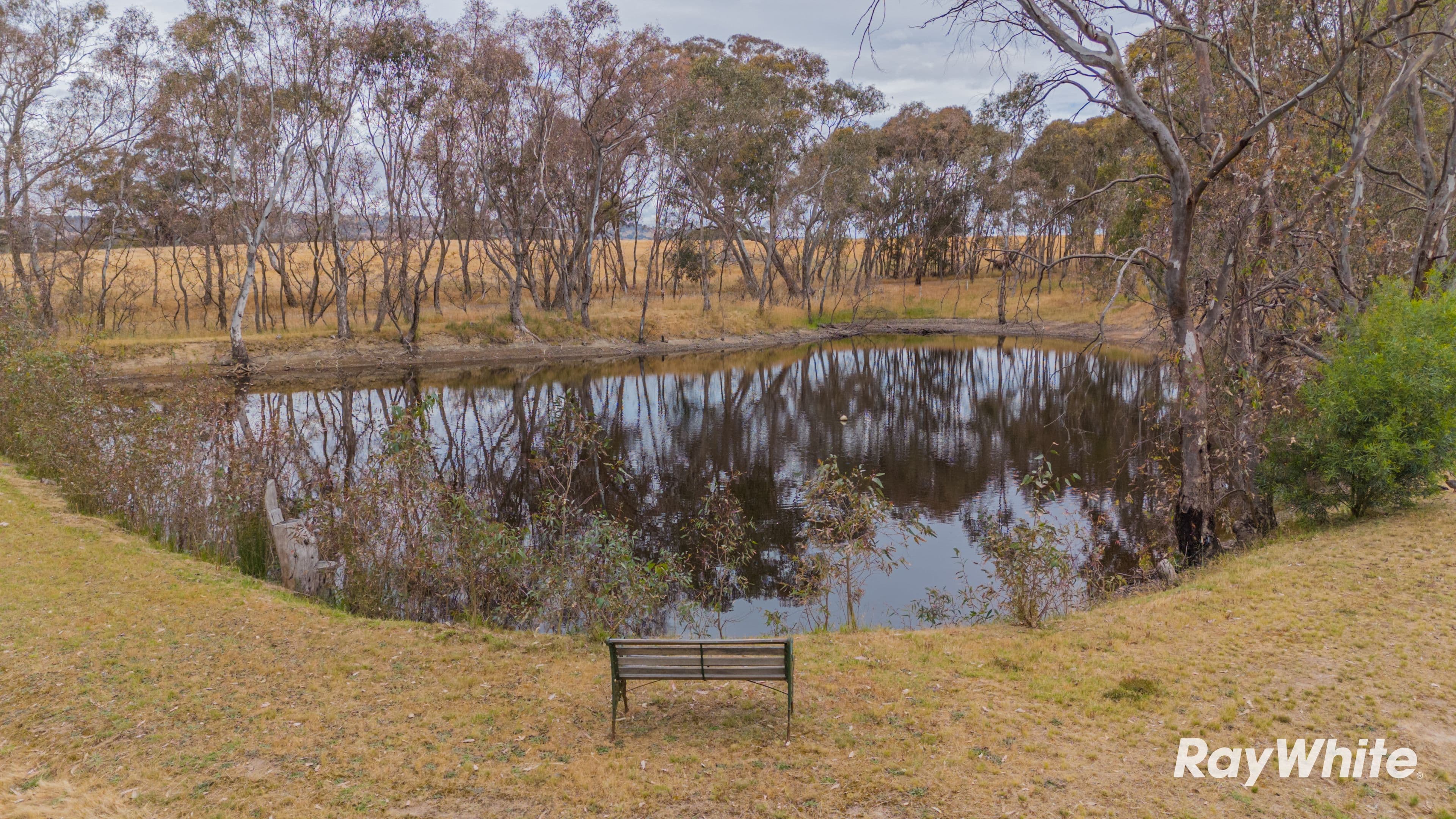 103 Soldier Road, Ravenswood VIC 3453, Ravenswood - Thumbnail 3