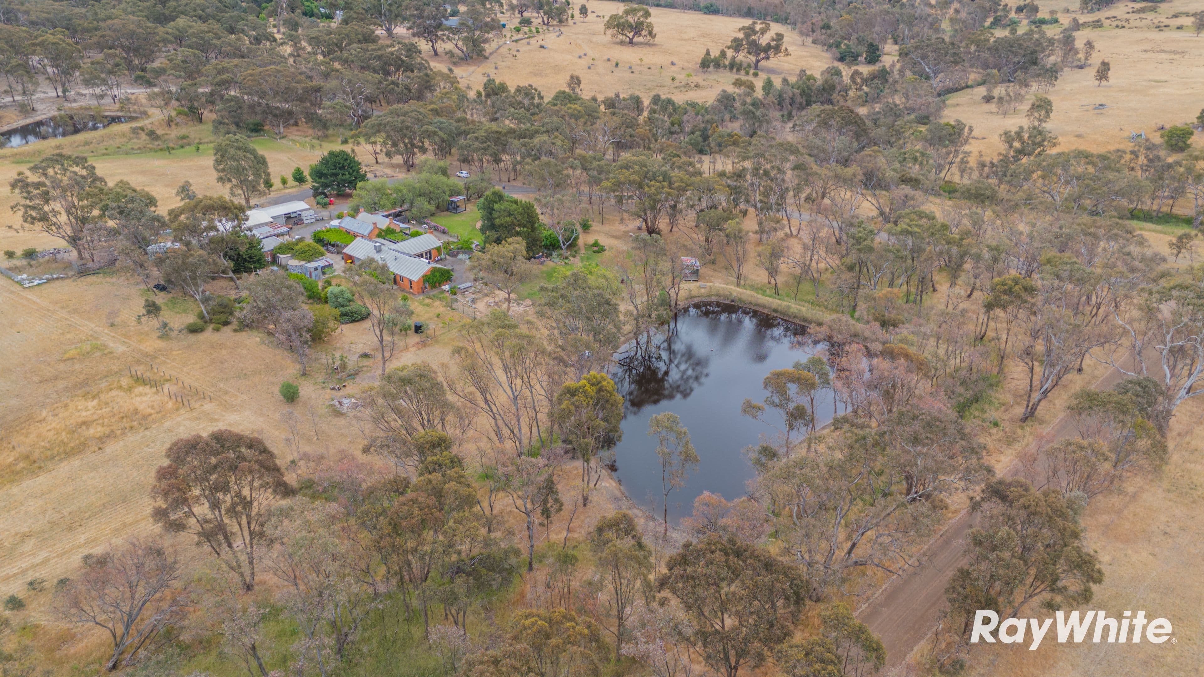 103 Soldier Road, Ravenswood VIC 3453, Ravenswood - Thumbnail 4