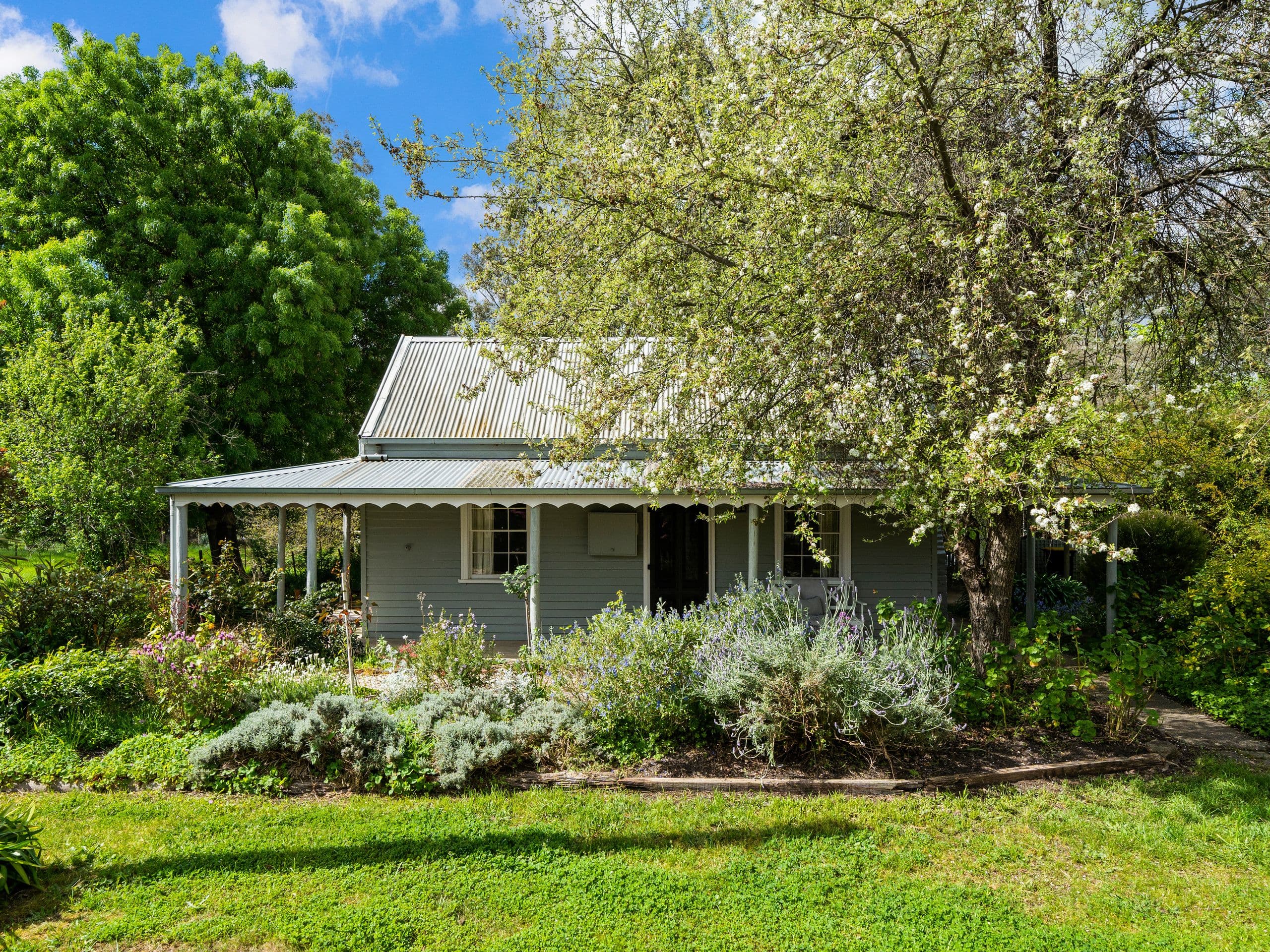 5 Pink Street, Violet Town VIC 3669, Violet Town - Image 1