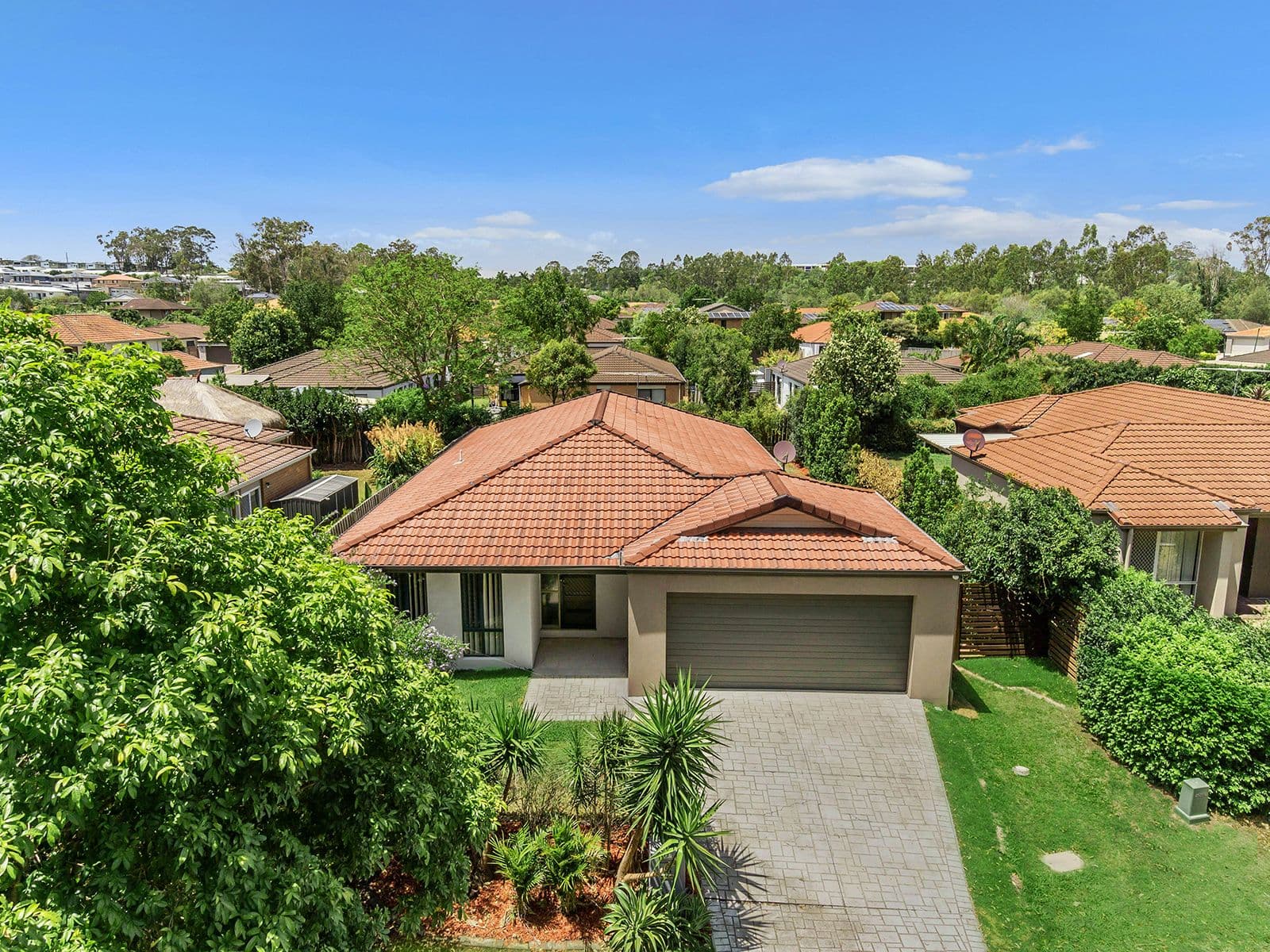49 Macaranga Crescent, Carseldine QLD 4034, Carseldine - Image 1