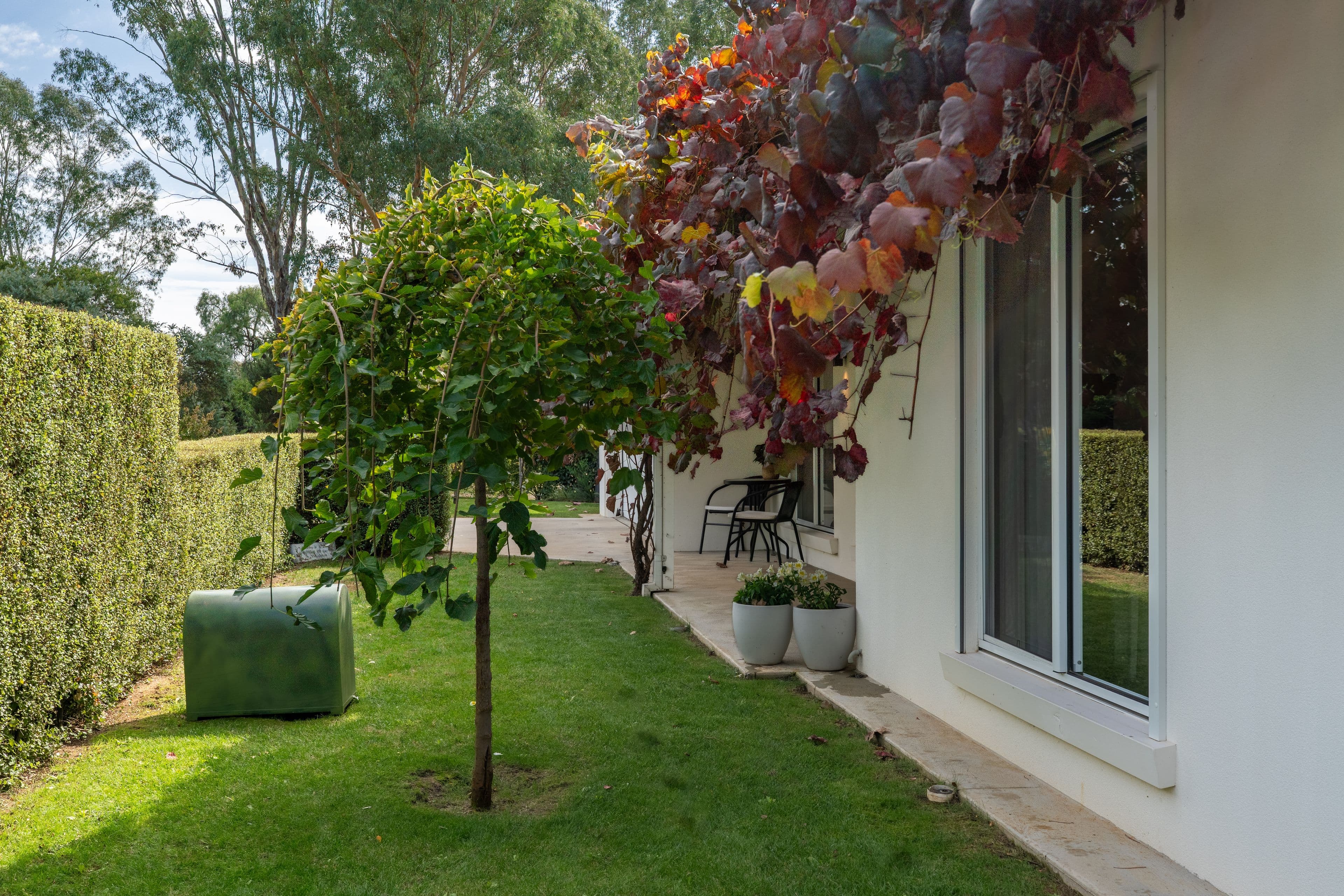 15 Belmont Street, Avenel VIC 3664, Avenel - Thumbnail 3