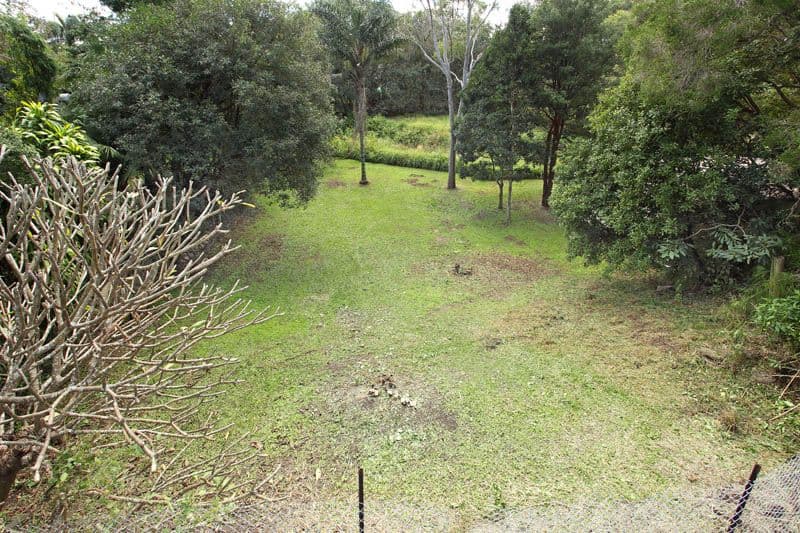 42 Fourteenth Avenue, KEDRON QLD 4031, Kedron - Thumbnail 3