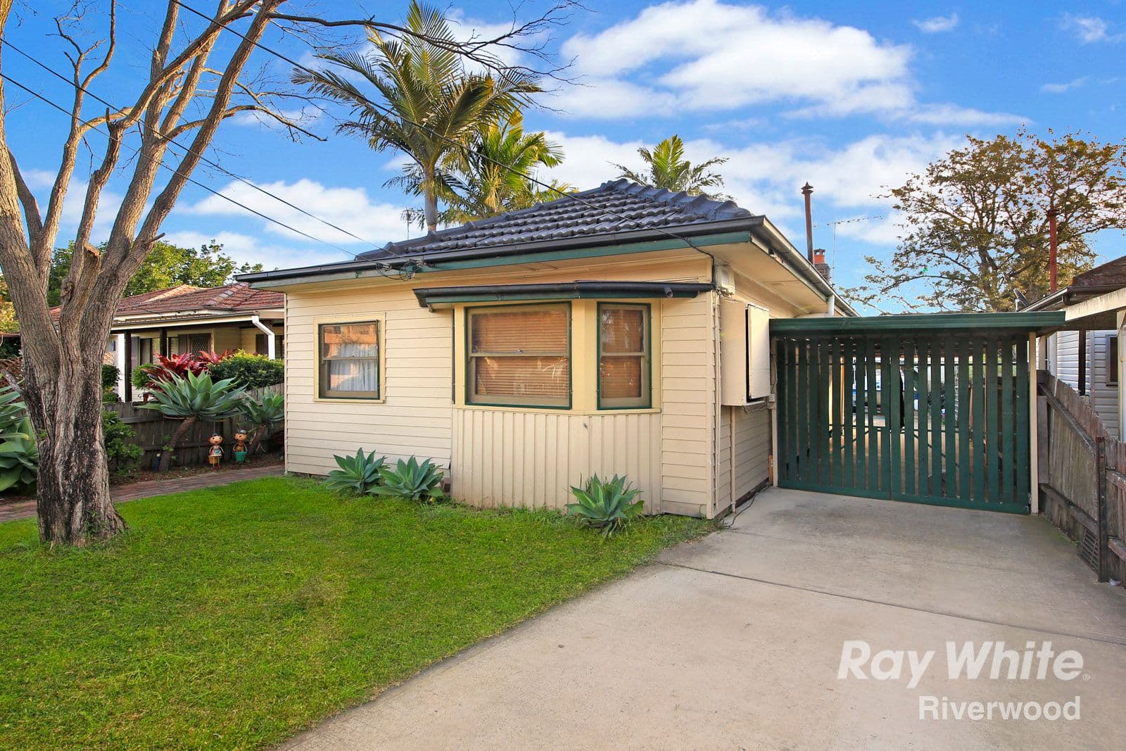19 Belgium Street, Riverwood NSW 2210, Riverwood - Image 1