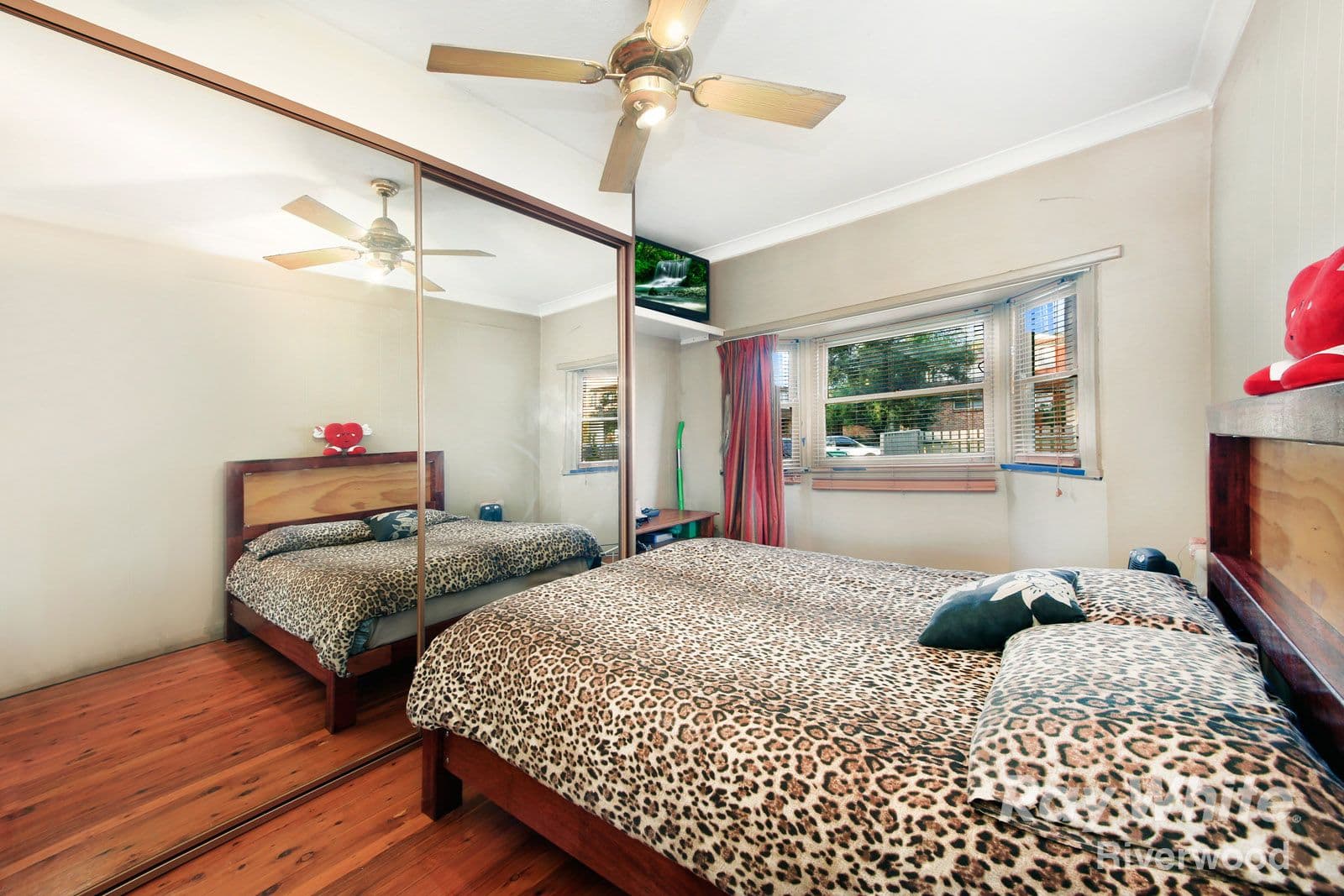 19 Belgium Street, Riverwood NSW 2210, Riverwood - Thumbnail 2