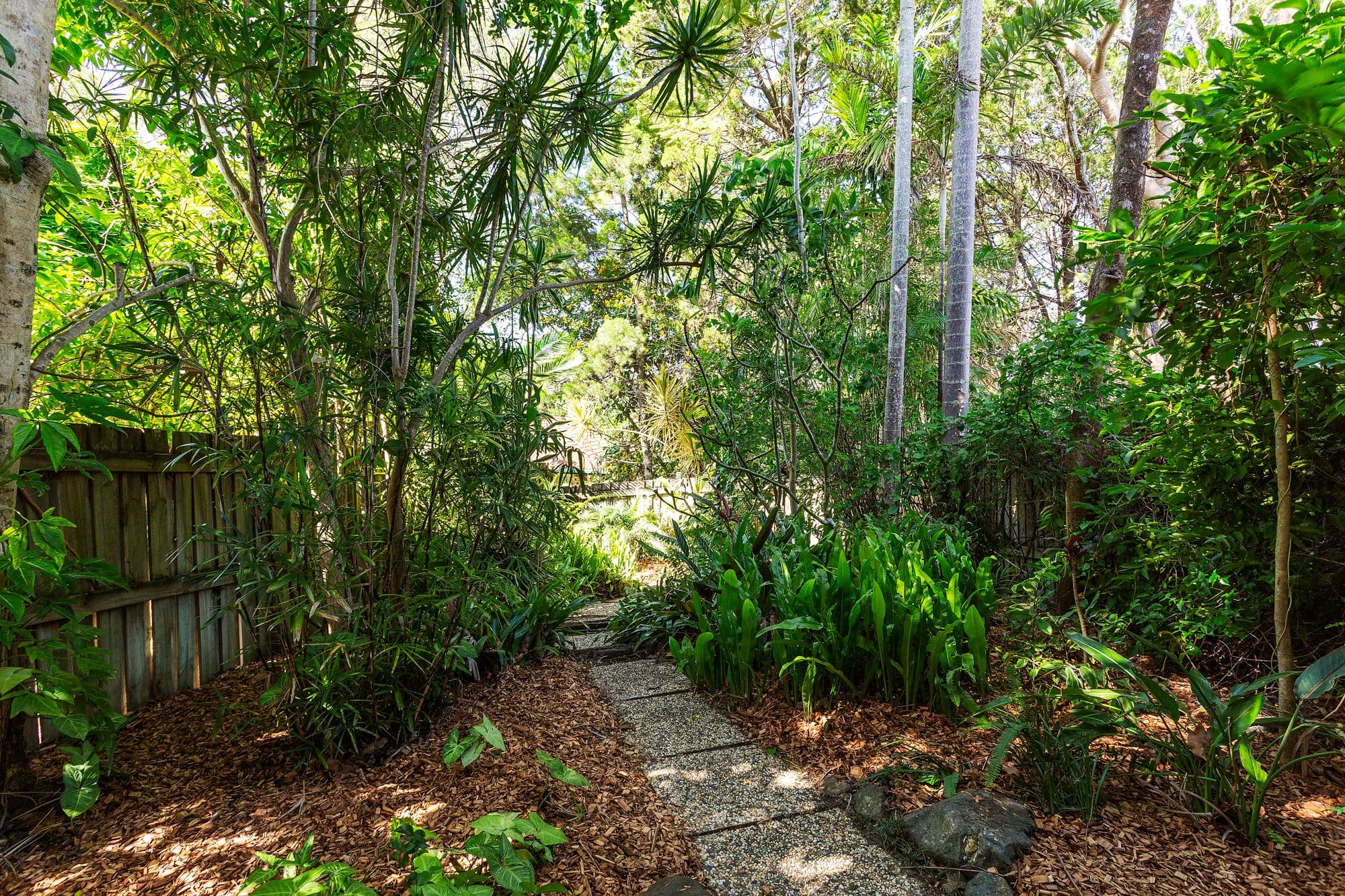 2 Banksia Avenue, Noosa Heads QLD 4567, Noosa Heads - Thumbnail 8