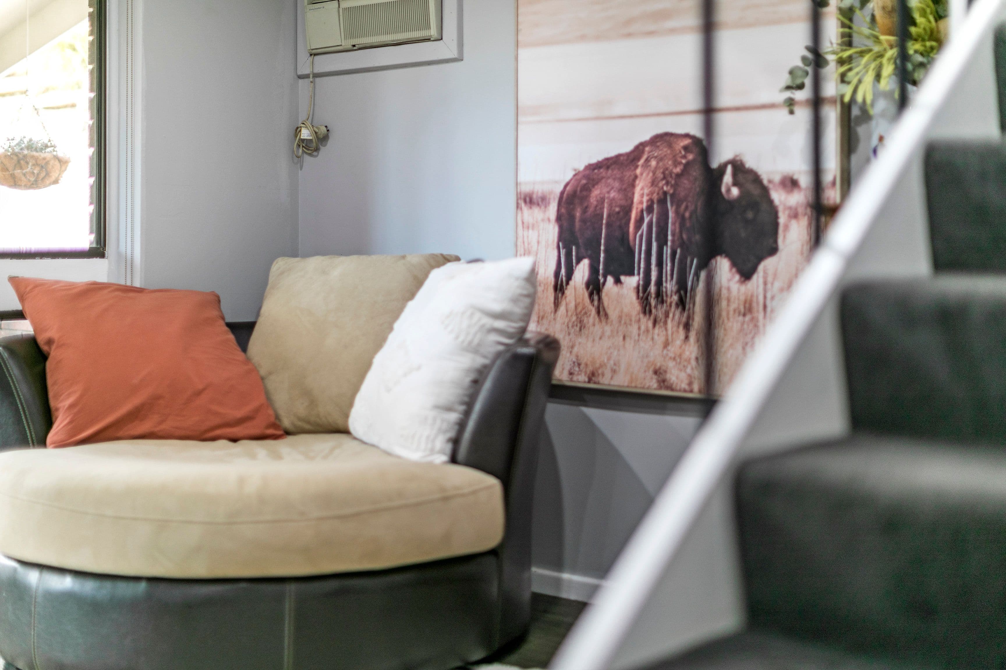 24 Pauline Drive, Surrey Downs SA 5126, Surrey Downs - Thumbnail 6