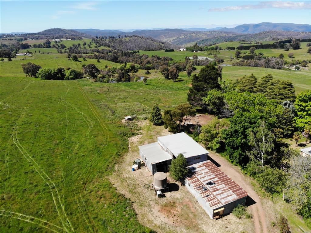 125 Yellowin Road, Batlow NSW 2730, Batlow - Thumbnail 4