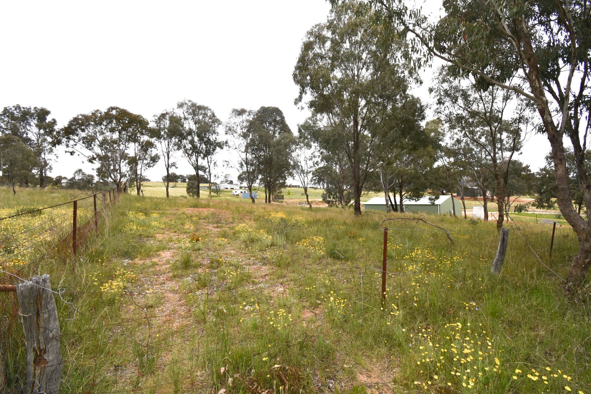 95 Dempsey Street, Peel NSW 2795, Peel - Image 1