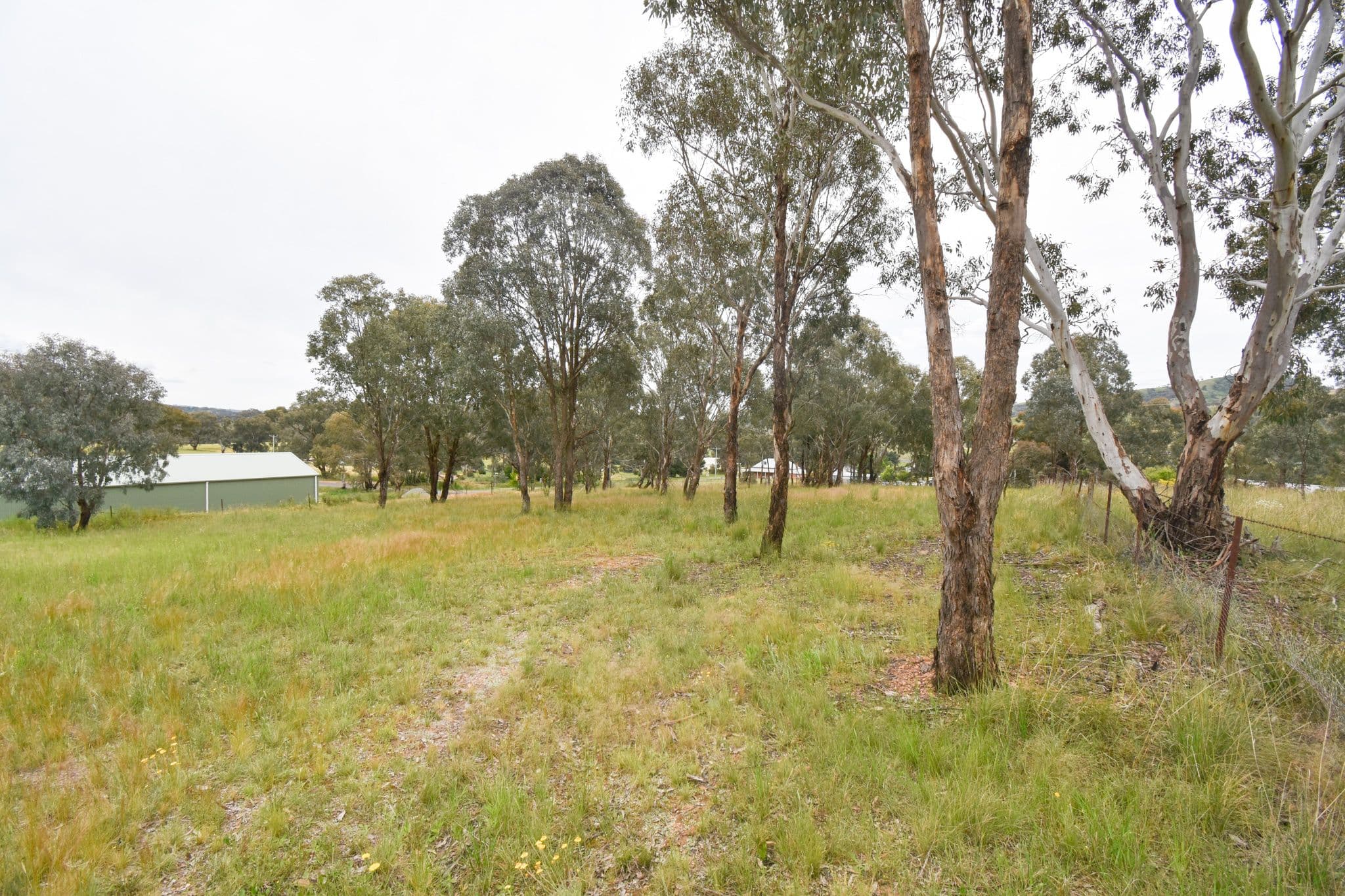 95 Dempsey Street, Peel NSW 2795, Peel - Thumbnail 4