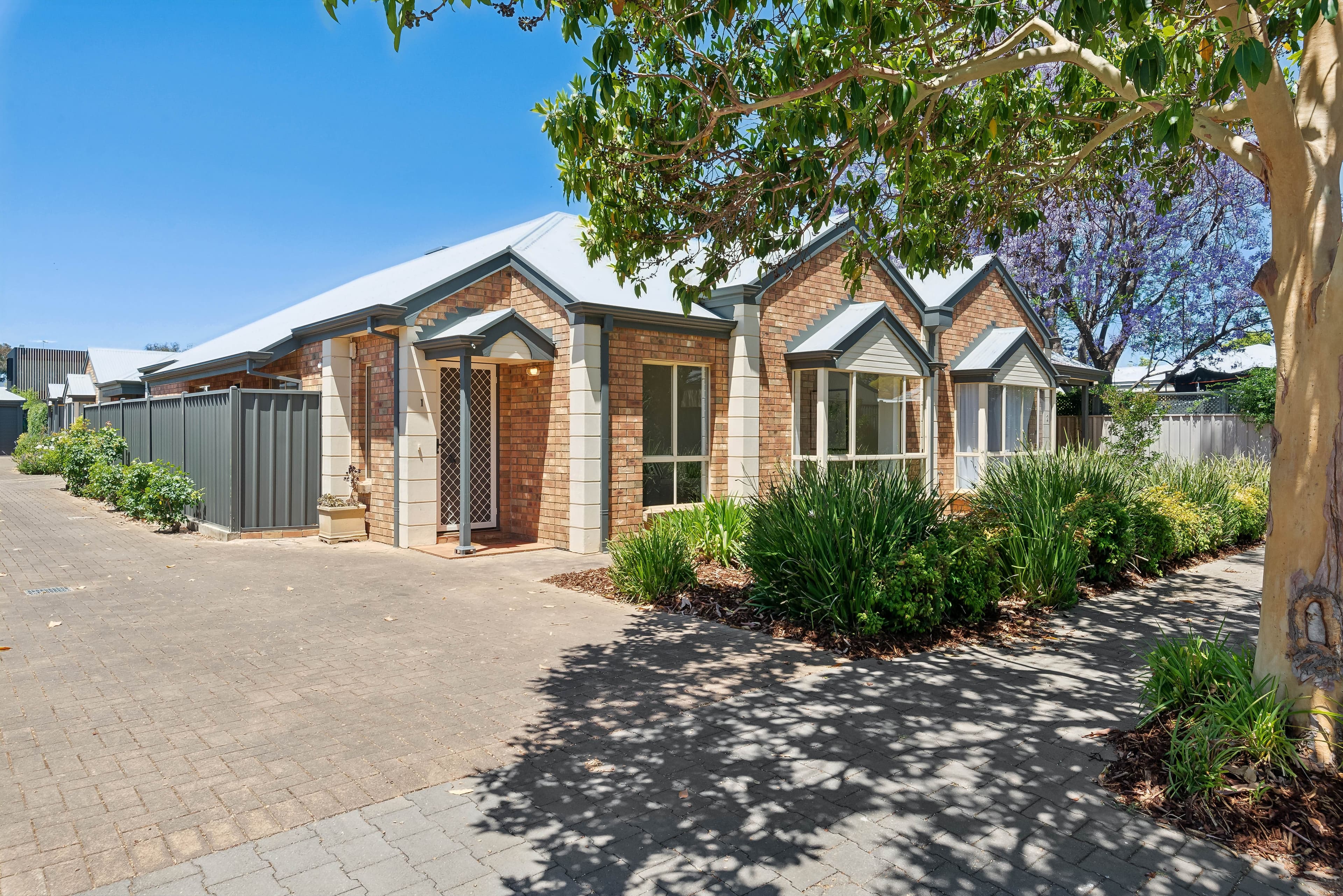 3 Lewis Street, Goodwood SA 5034, Goodwood - Image 1