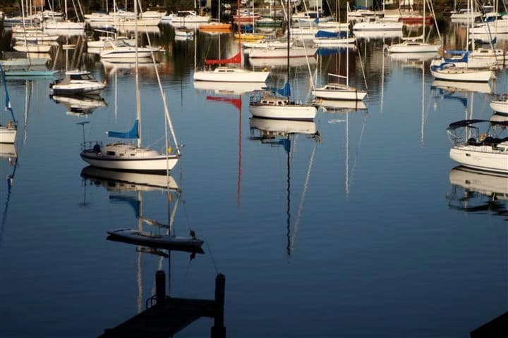 2 Kellys Esplanade, NORTHWOOD, LONGUEVILLE NSW 2066, Longueville - Thumbnail 6