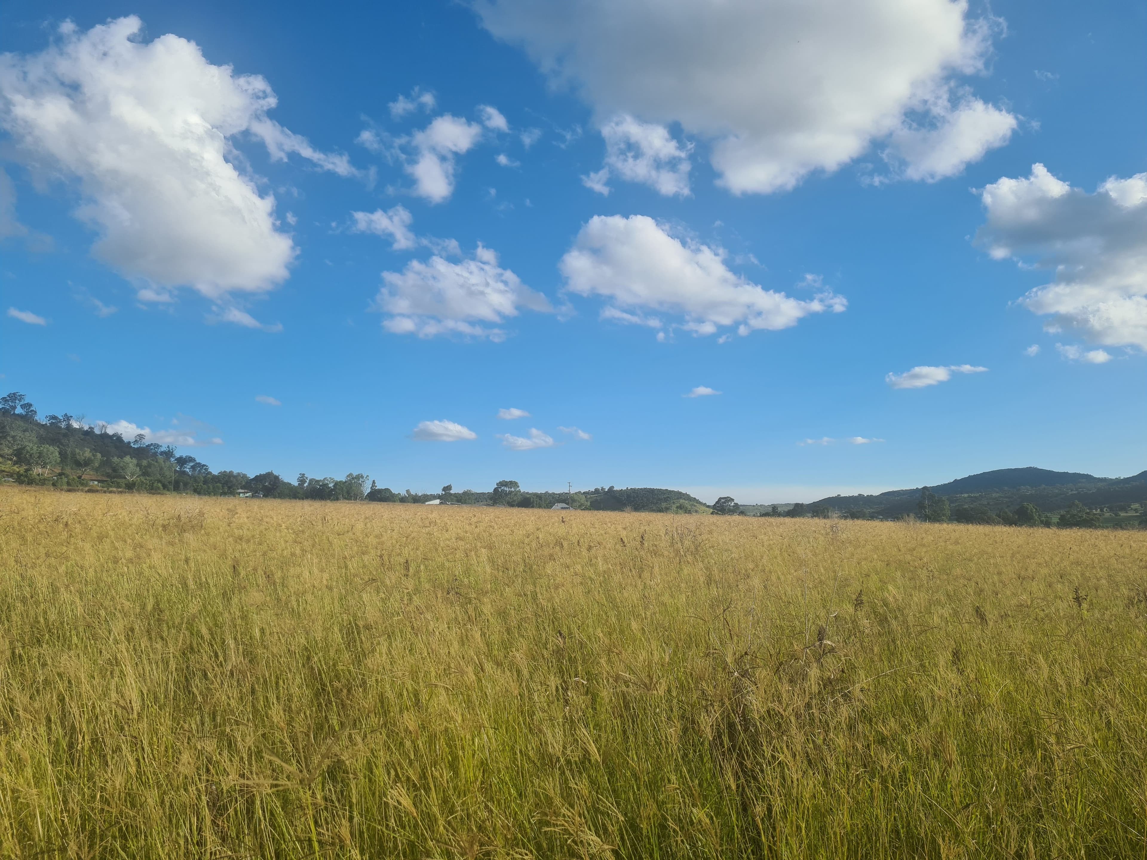 33 Reis Road, Lilyvale QLD 4352, Lilyvale - Thumbnail 6