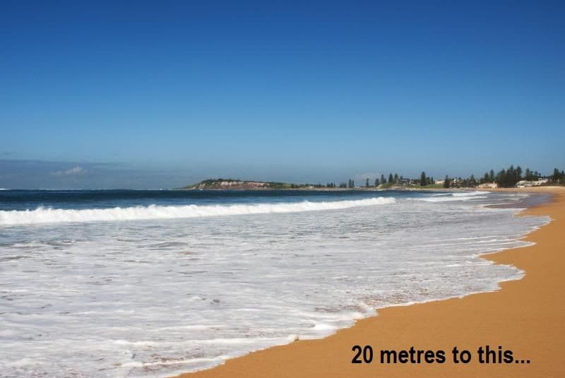1206 Pittwater Road, NARRABEEN NSW 2101, Narrabeen - Thumbnail 6